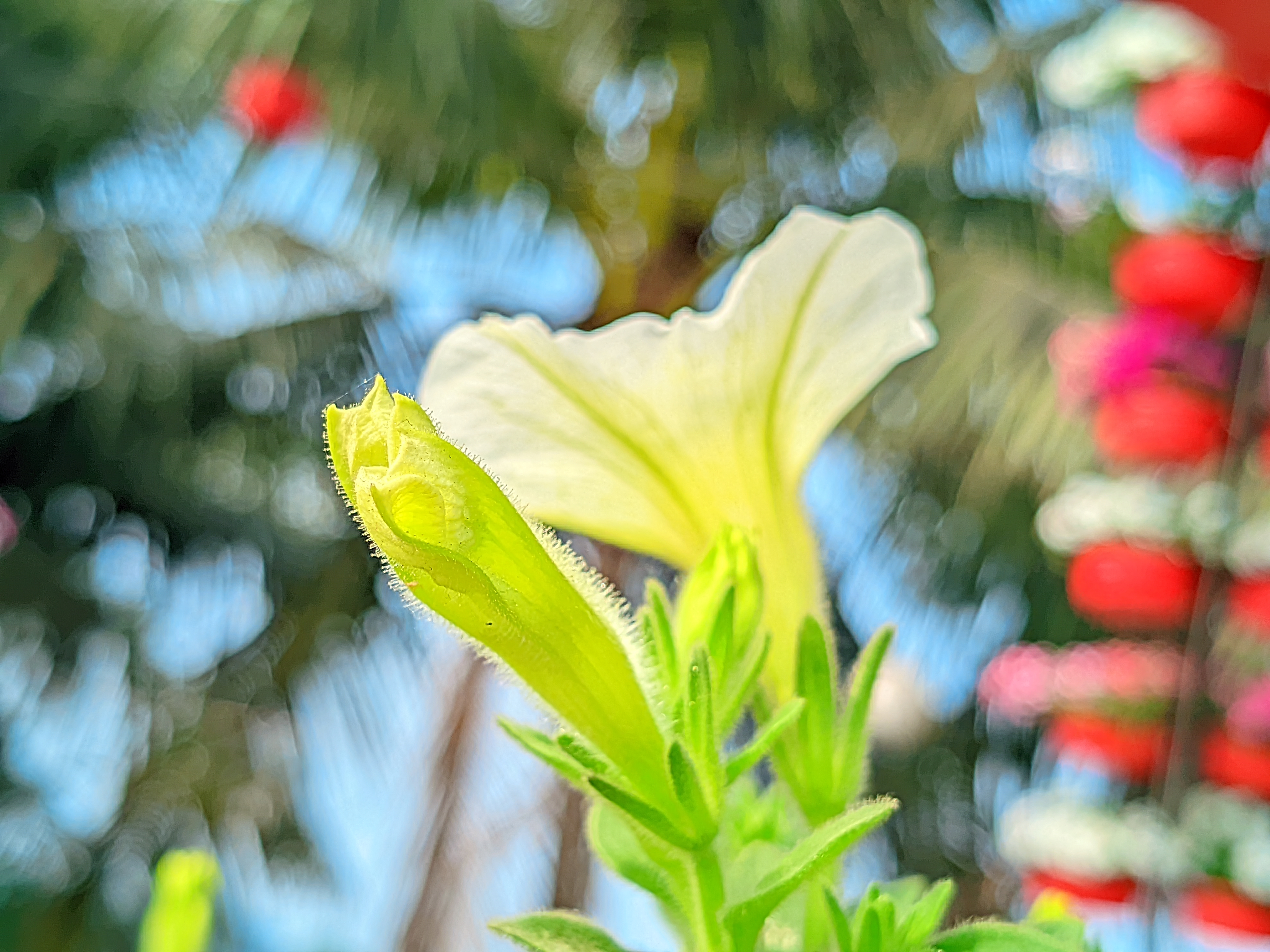 LMC_20250122_135329_🌈Color boost by Riyan .jpg