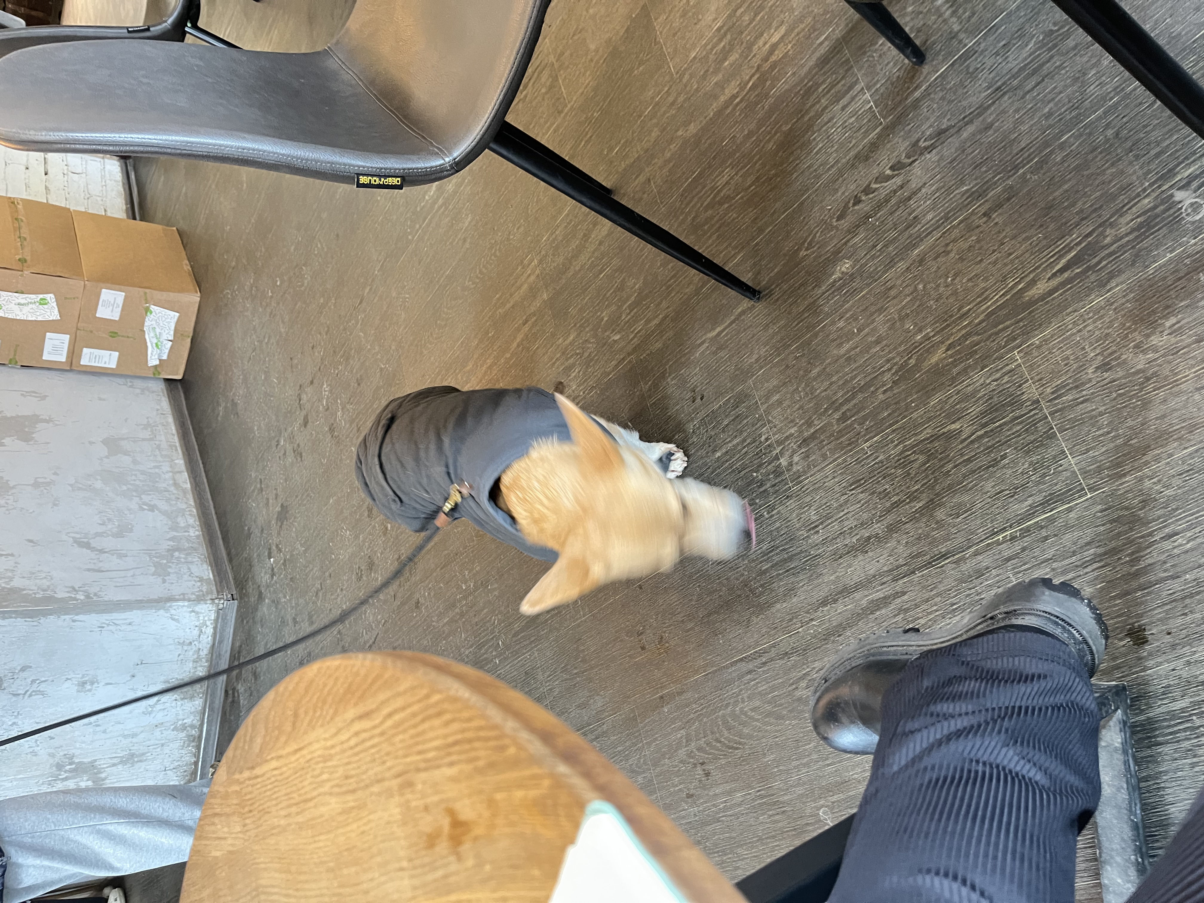 3119504A-9084-45CE-A6E7-2089BC8C080F.jpeg