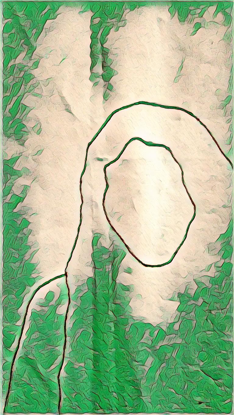 PicsArt_06-24-06.06.46.jpg