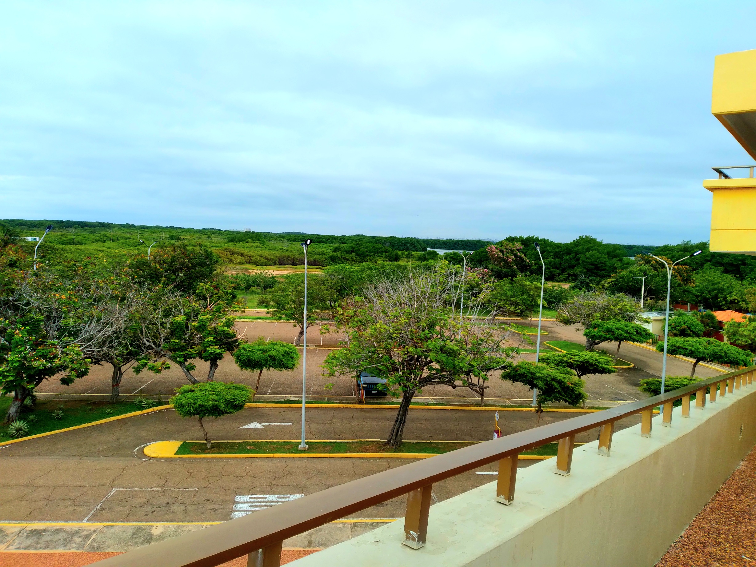 20250426_101707.jpg