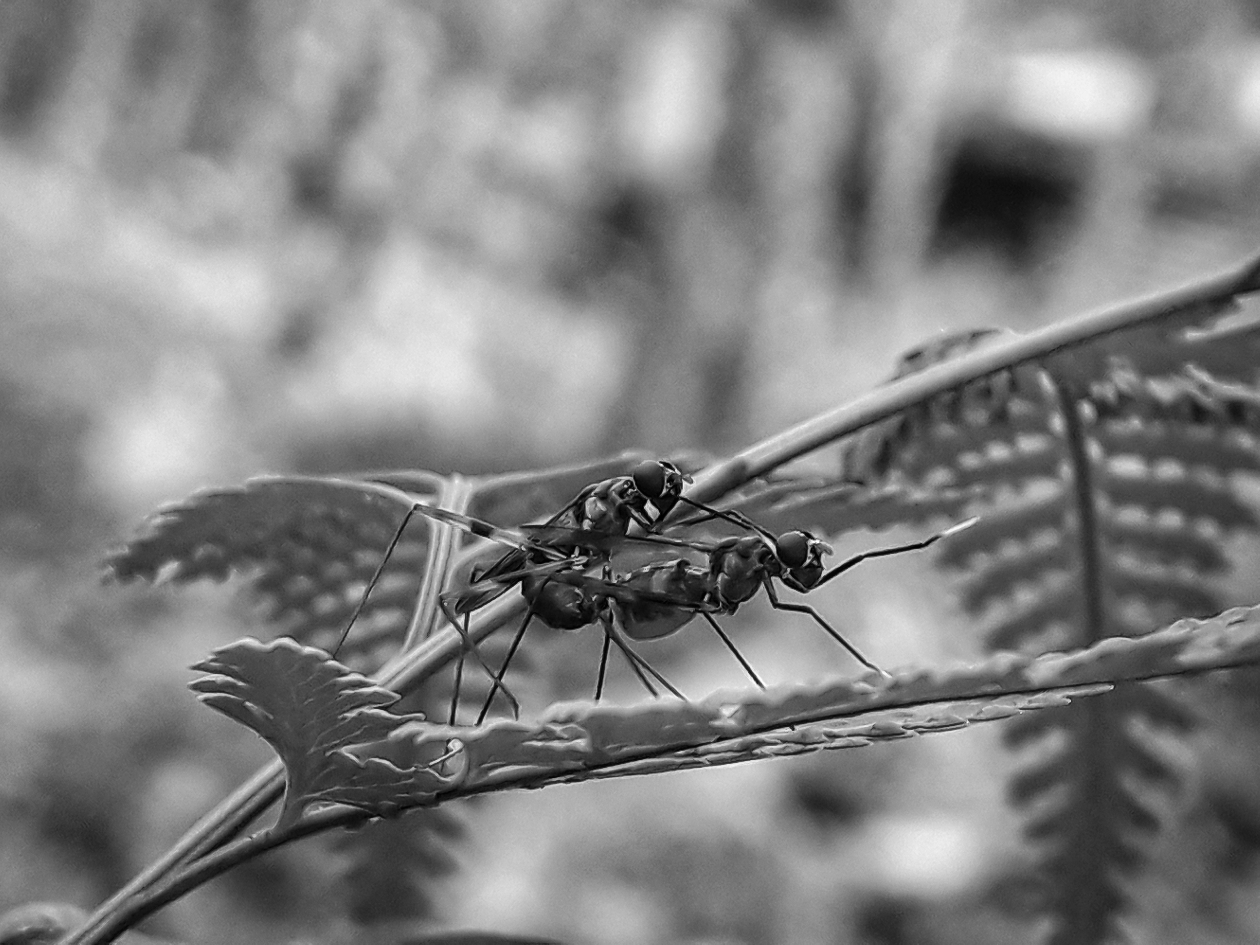 20220417_175514-01.jpg