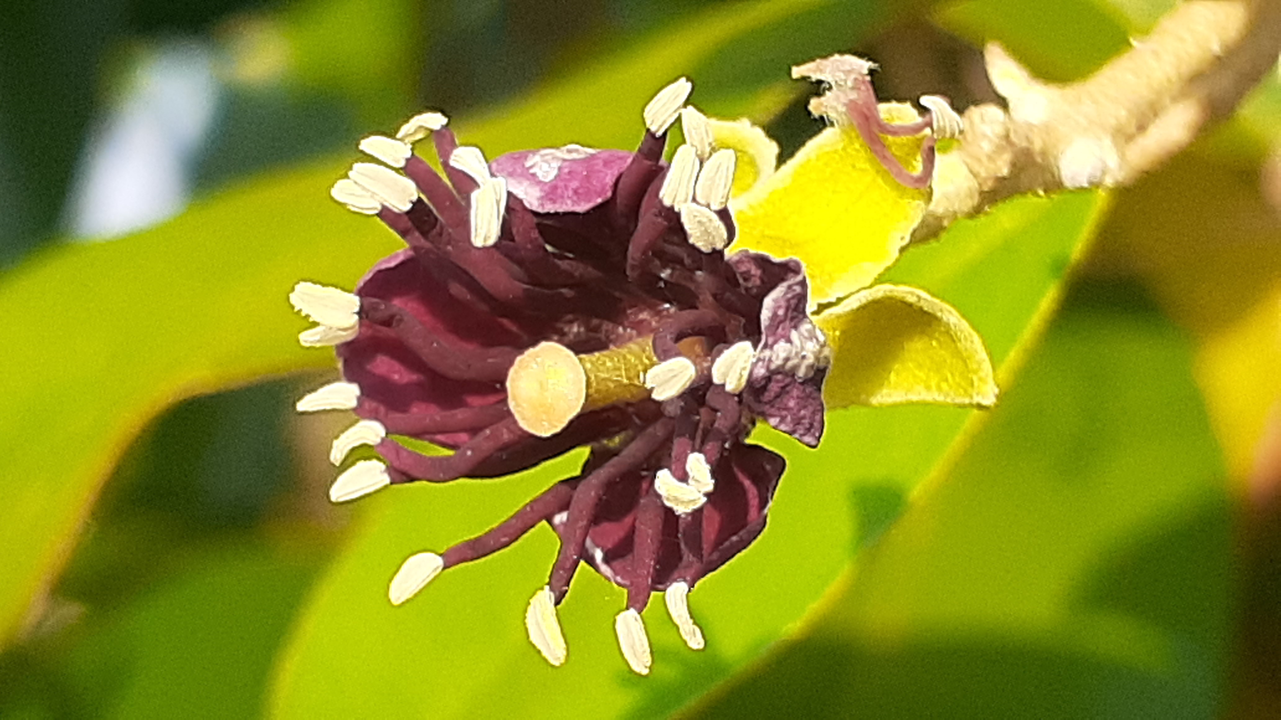 20250130_165144.jpg
