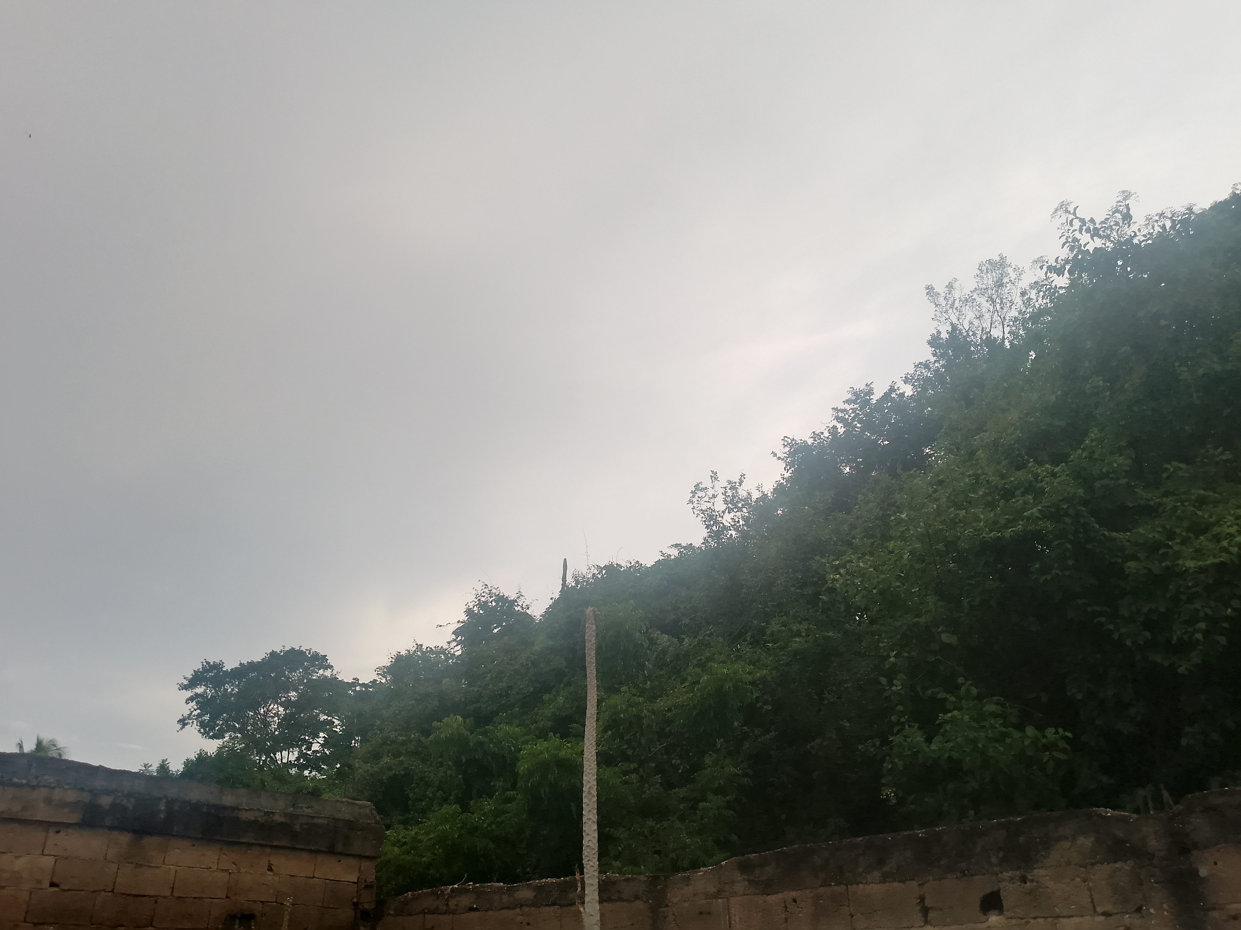 IMG_20250805_180357_149.jpg