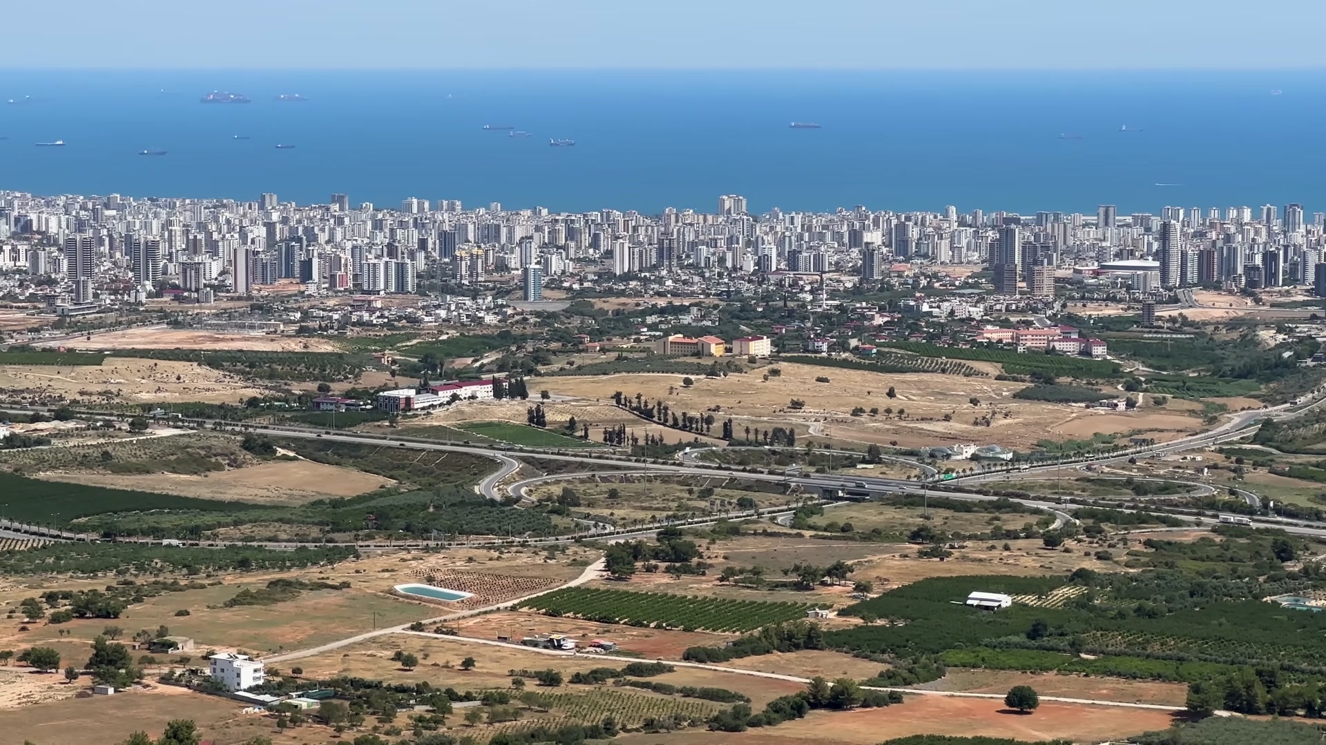 217.jpg