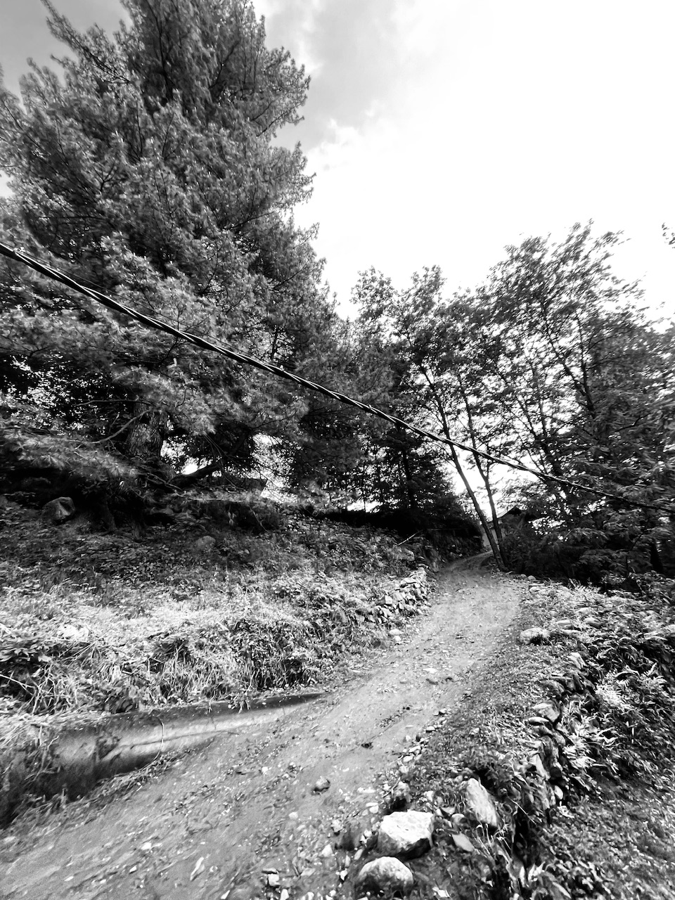 IMG_2413.jpeg
