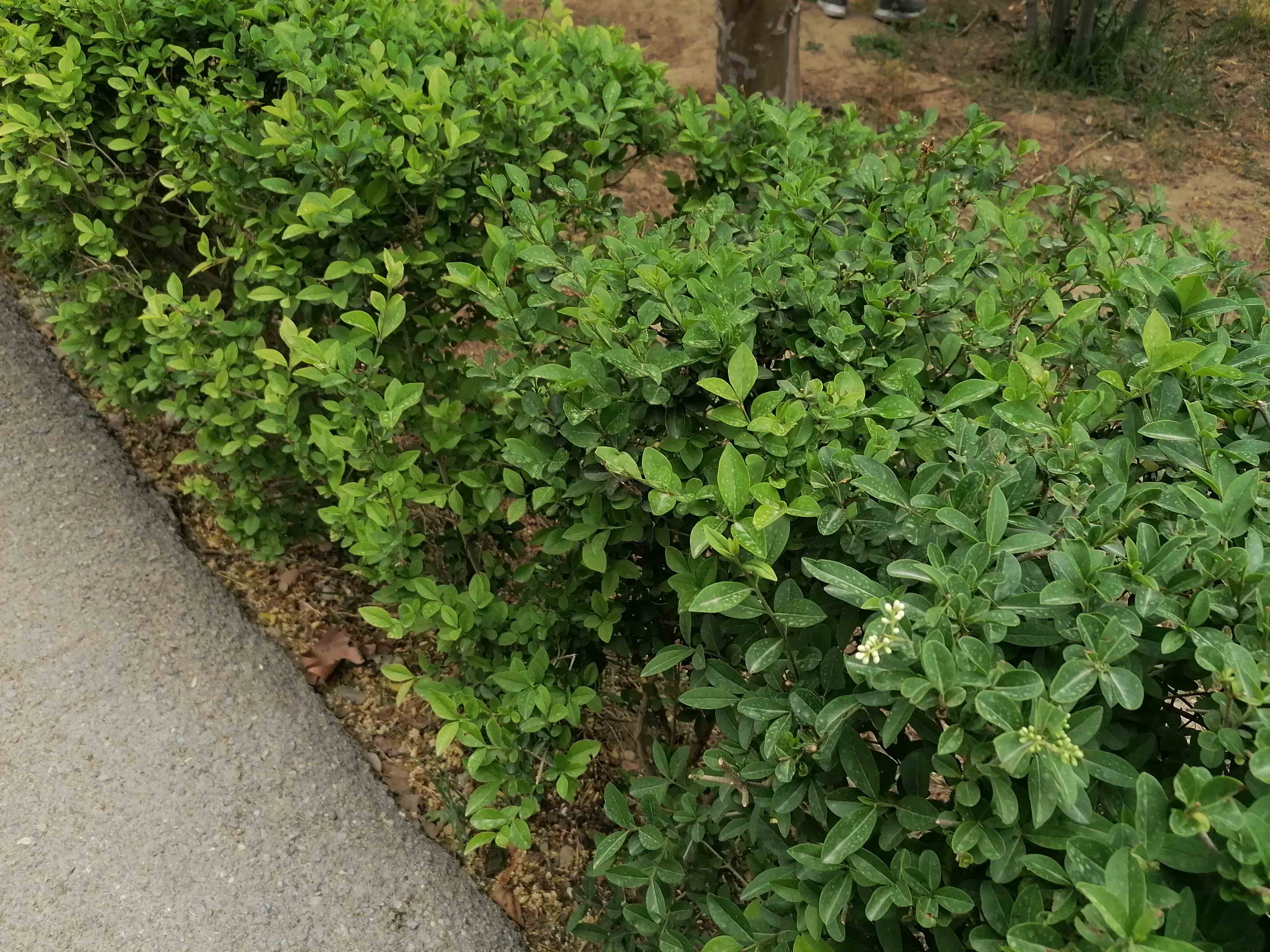 IMG_20250504_100819.jpg