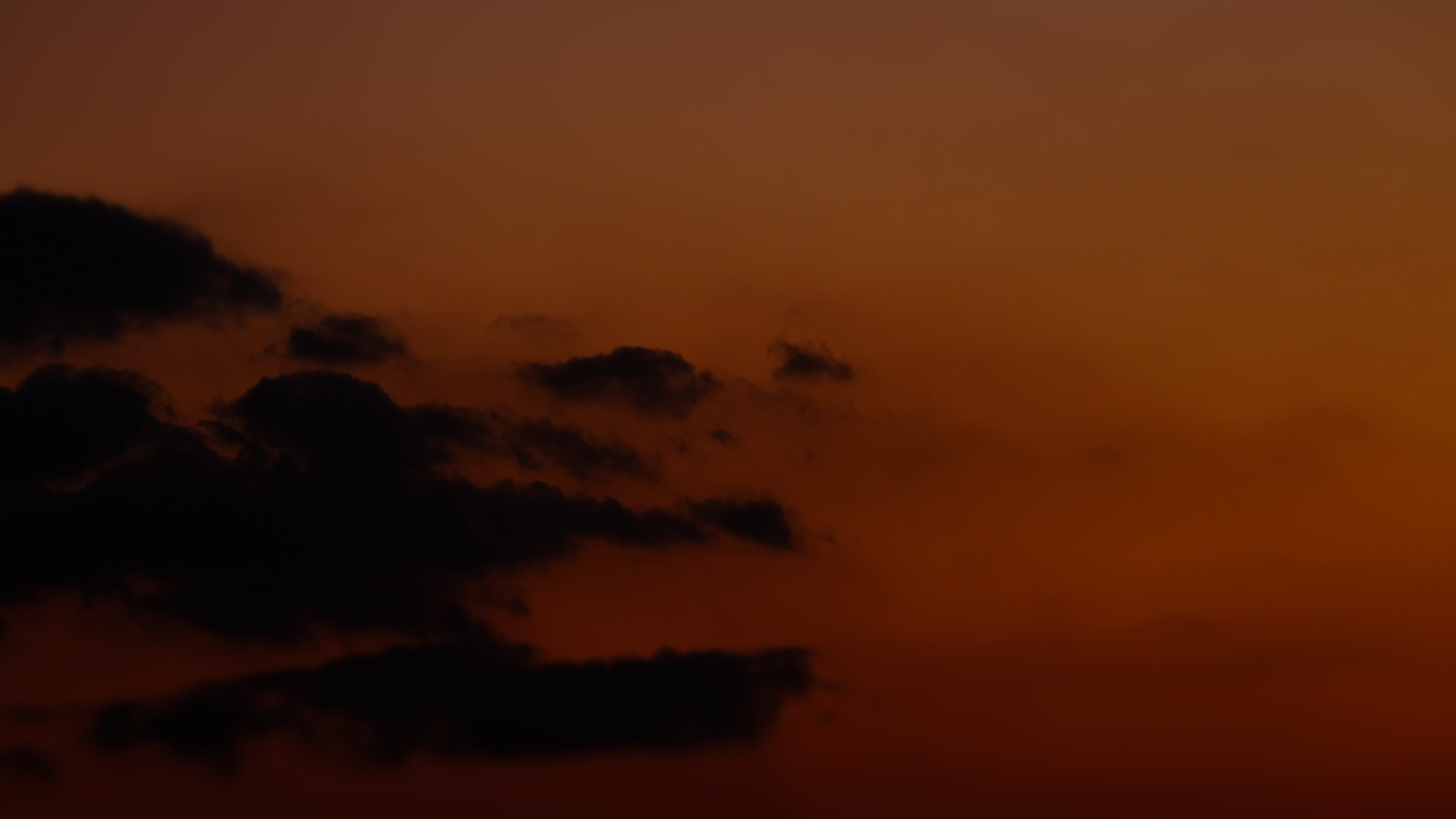 DSCF2445.JPG