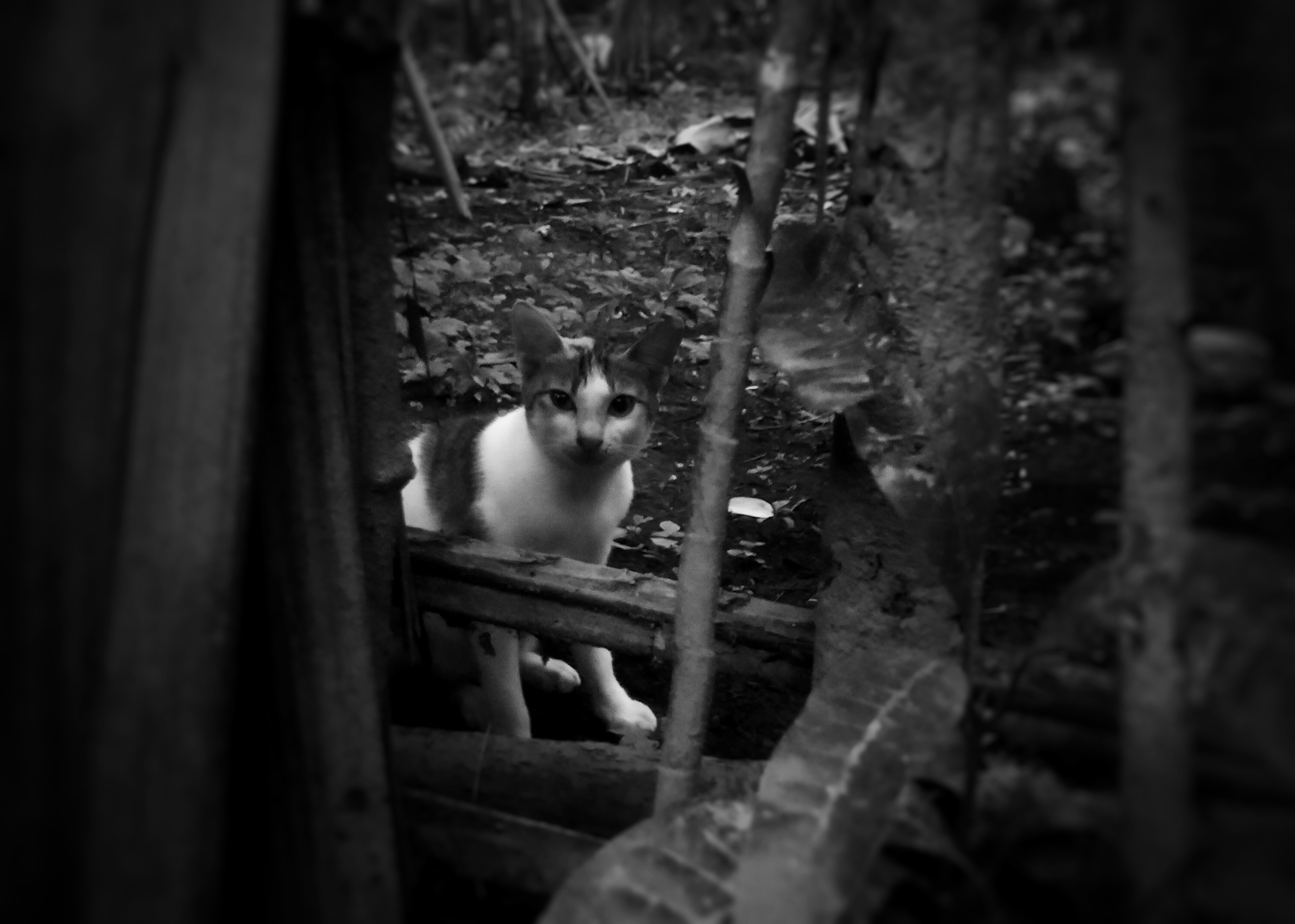 IMG20211006181008-02-01.jpeg