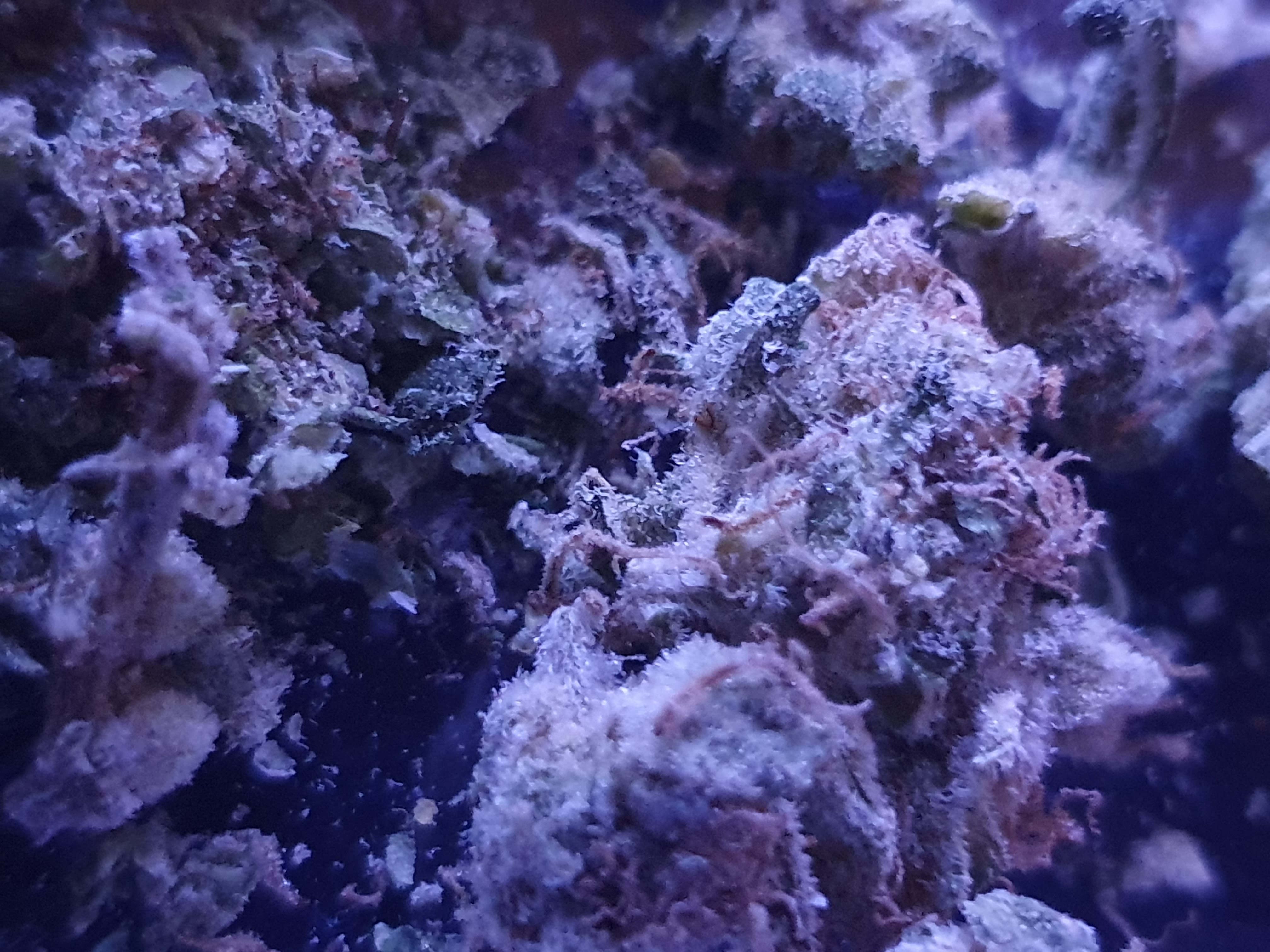 20220213_233257.jpg
