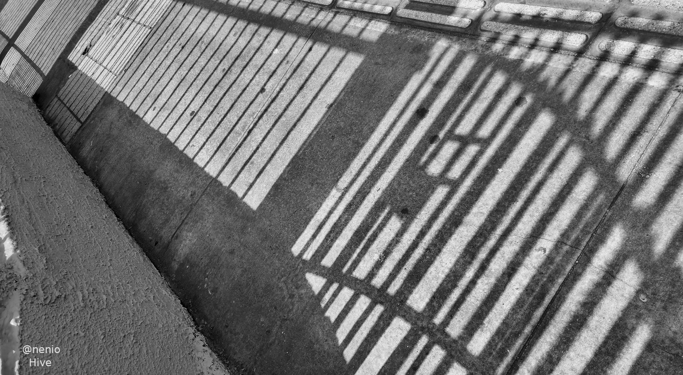 shadows-fence-017-bw.jpg