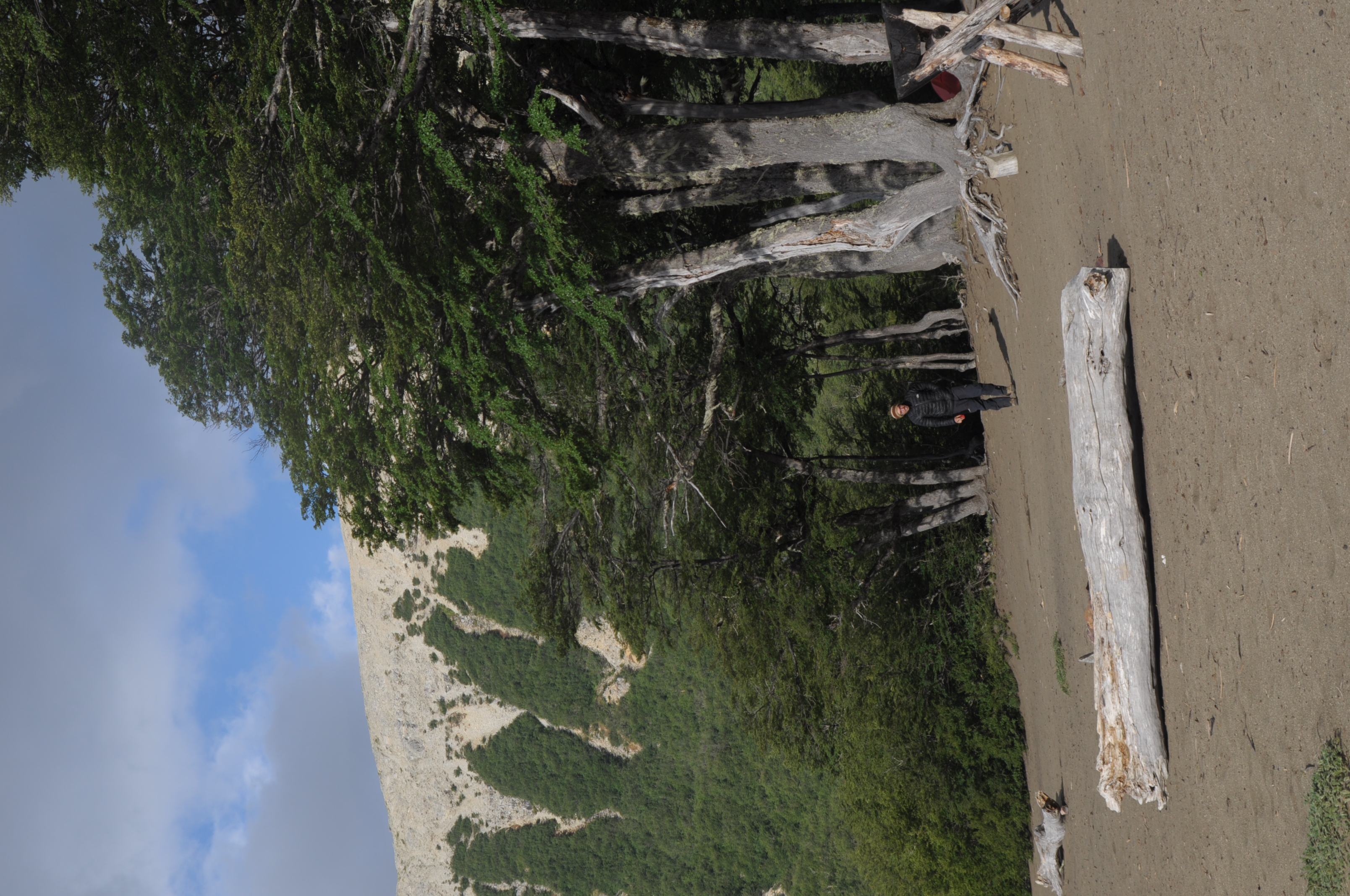 DSC_0412.JPG