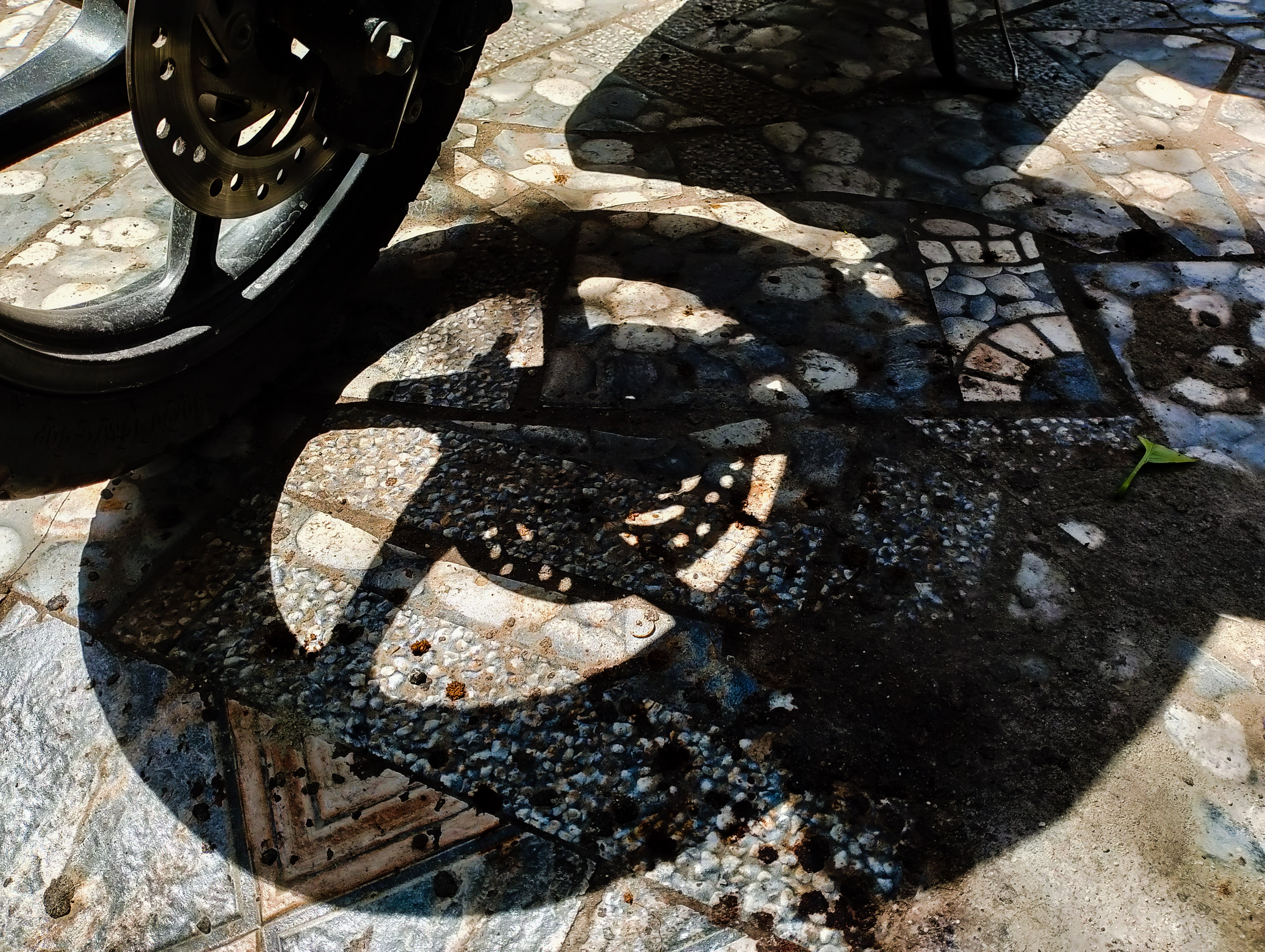 PSX_20231127_132104.jpg