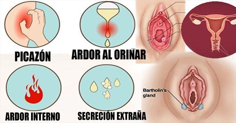 infecciones-vaginales-768x403.jpg