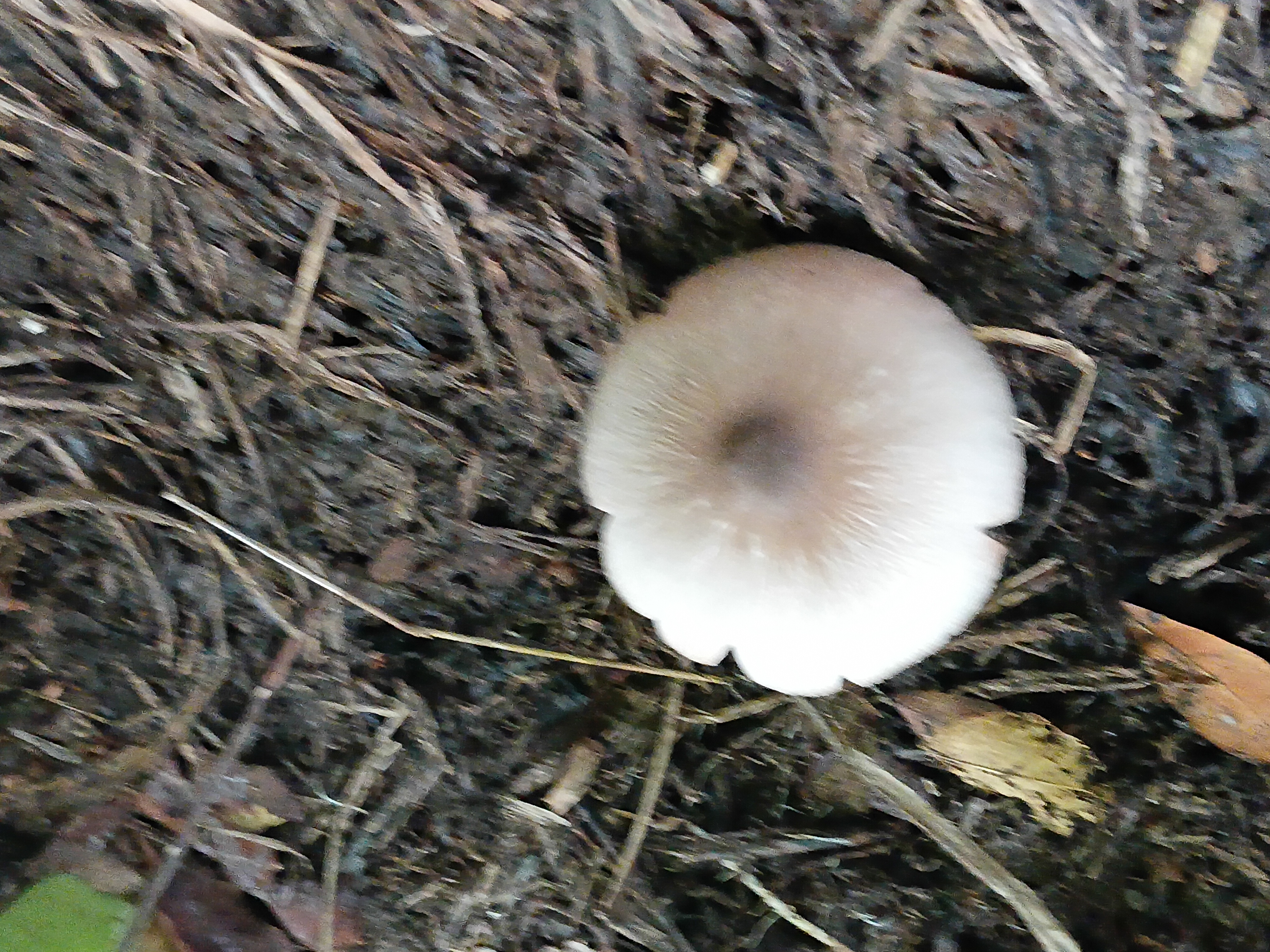 20250803_061157.jpg