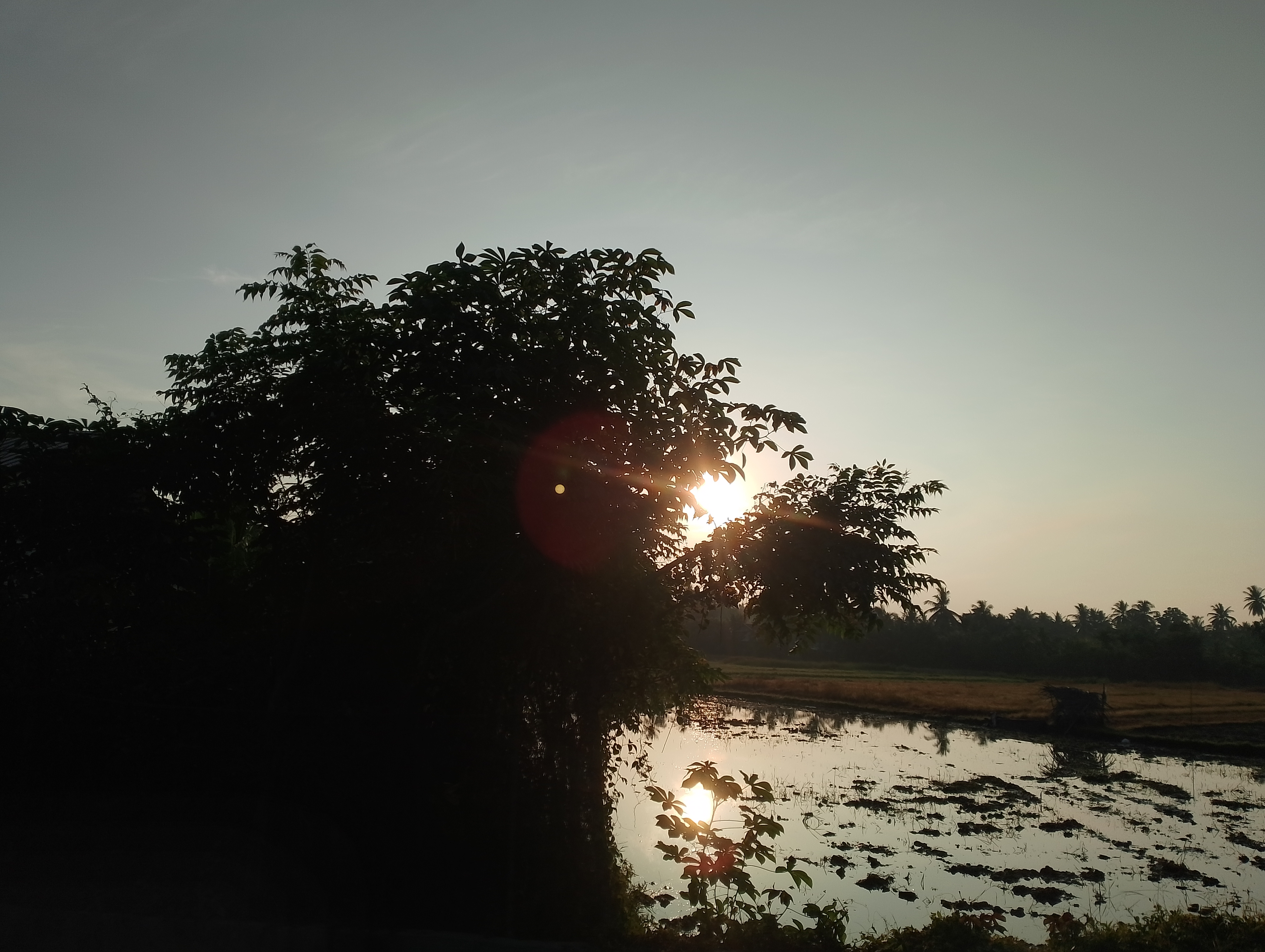 IMG_20250630_070229.jpg