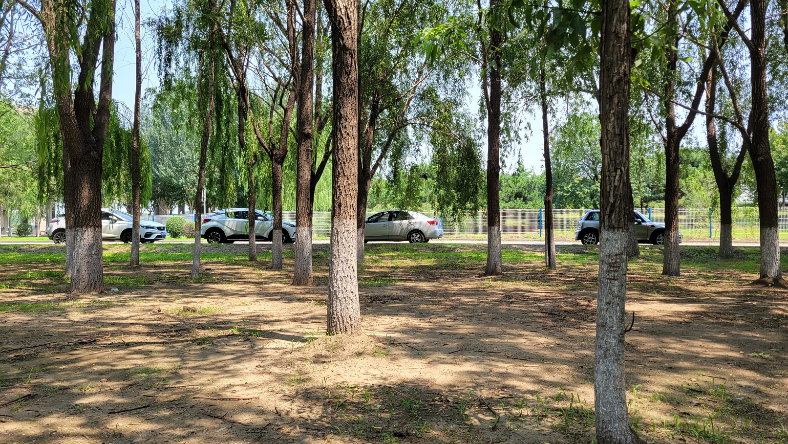 20230718_112520.jpg
