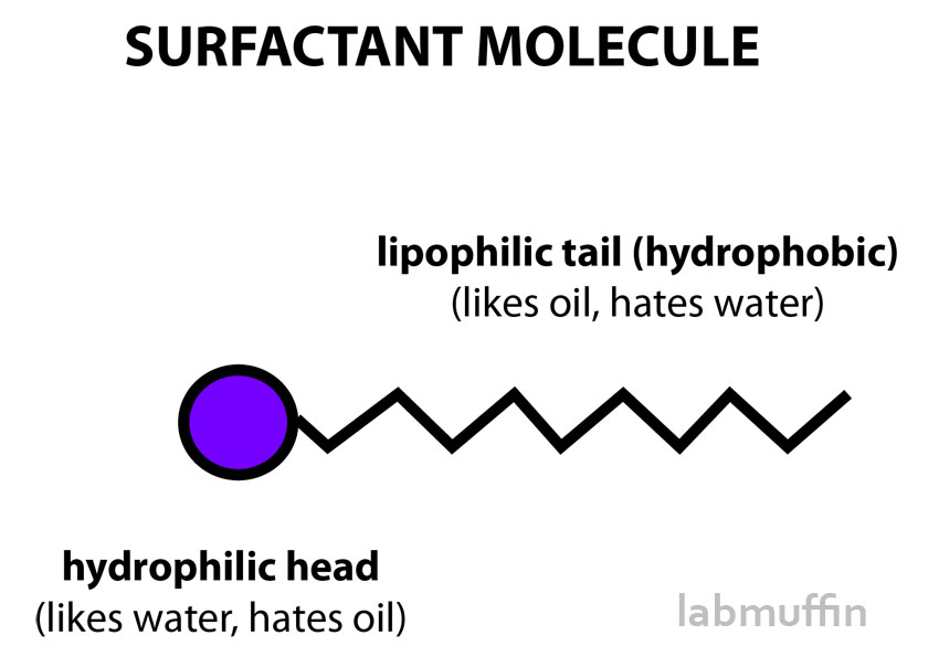 surfactant-molecule.jpg