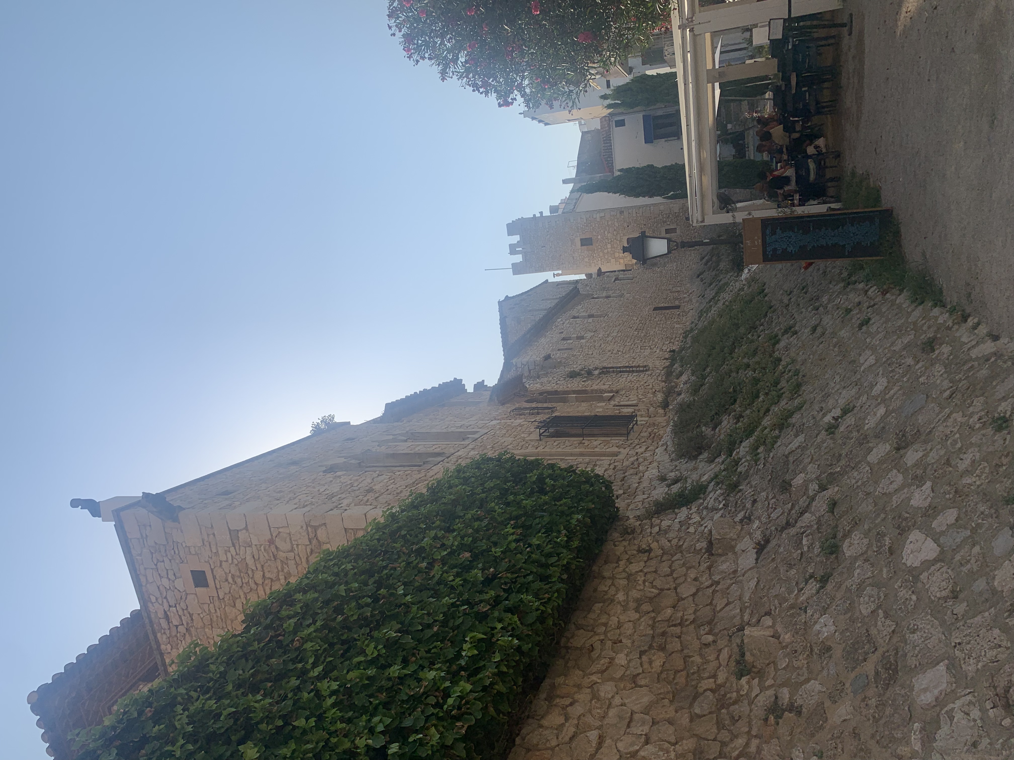IMG_2055.jpeg