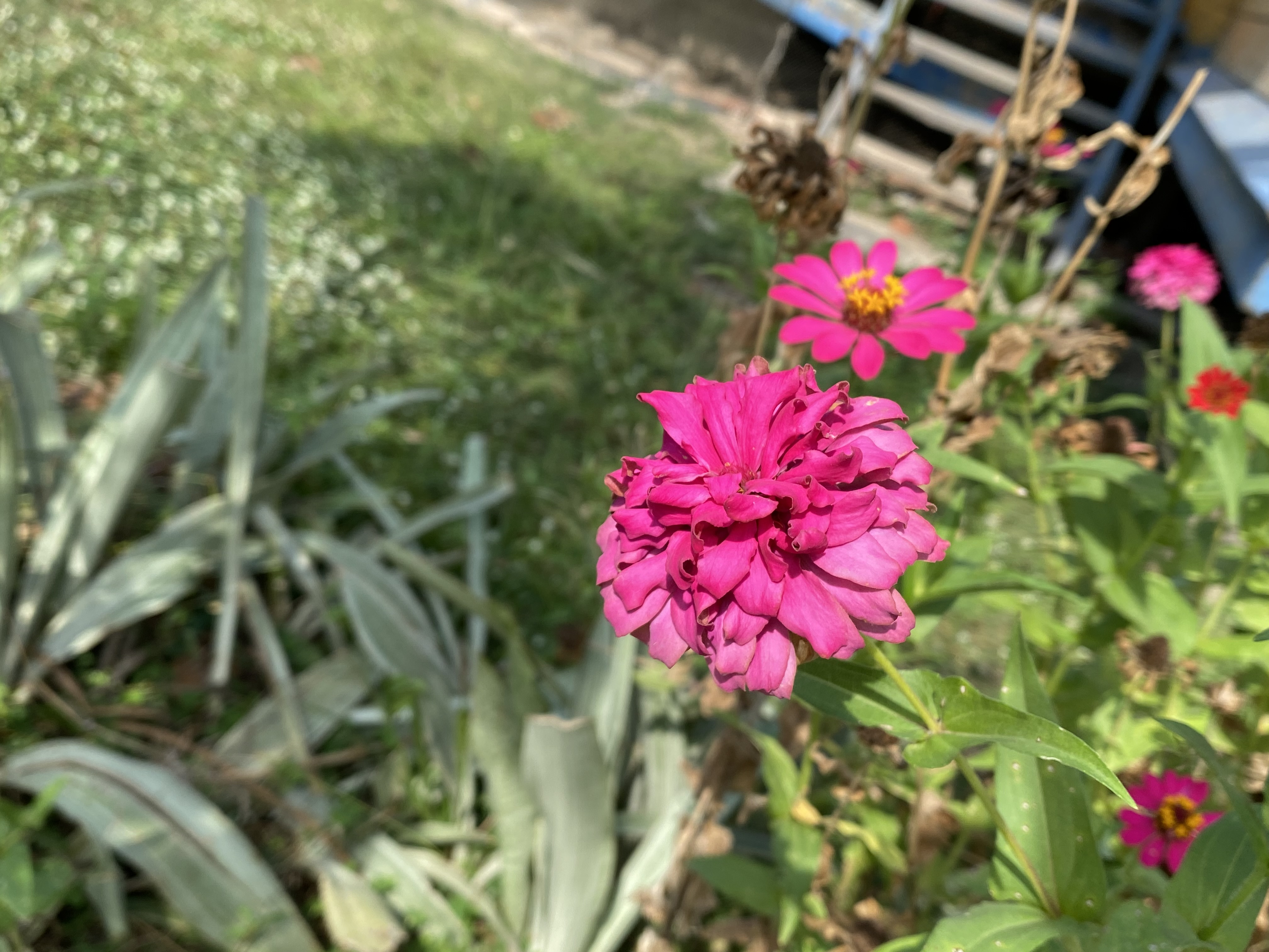 IMG_3580.jpeg