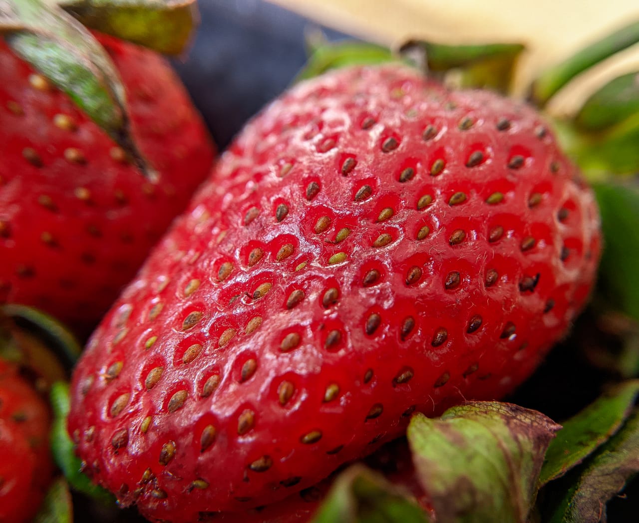 strawberry (4).jpeg