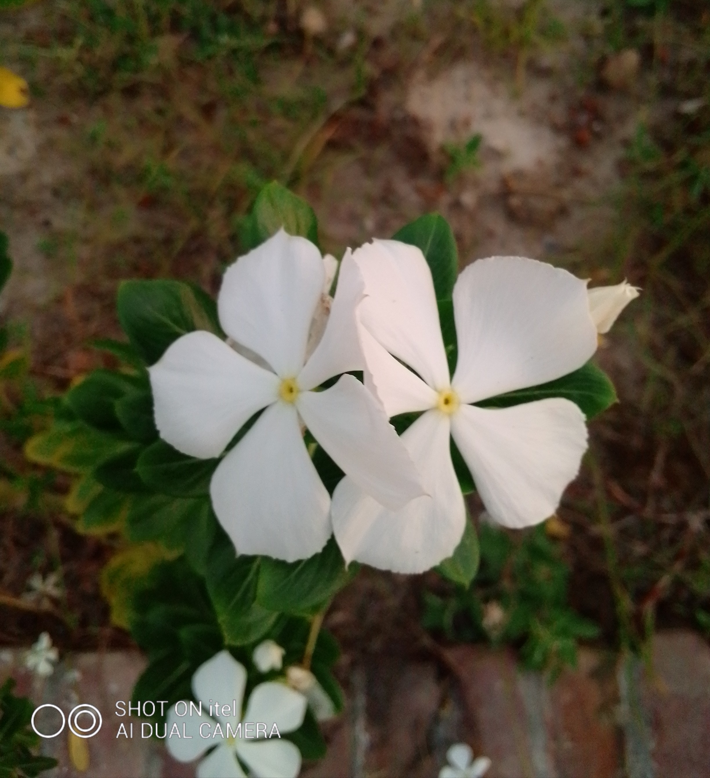 IMG_20220827_174655_343.jpg