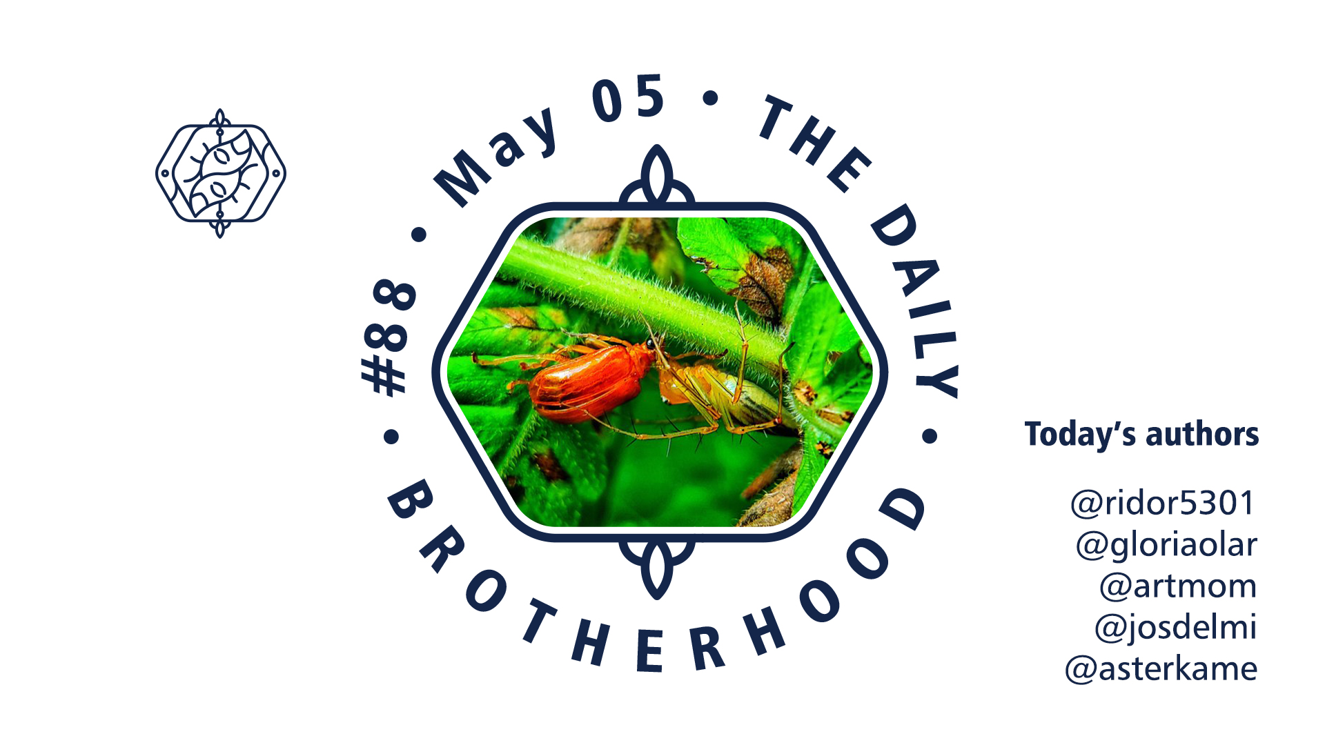 logo_brotherhood_08_88.jpg