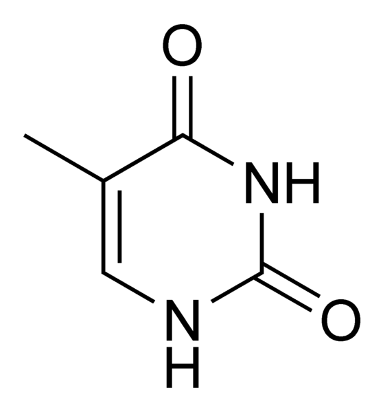 558px-Thymine_chemical_structure.png