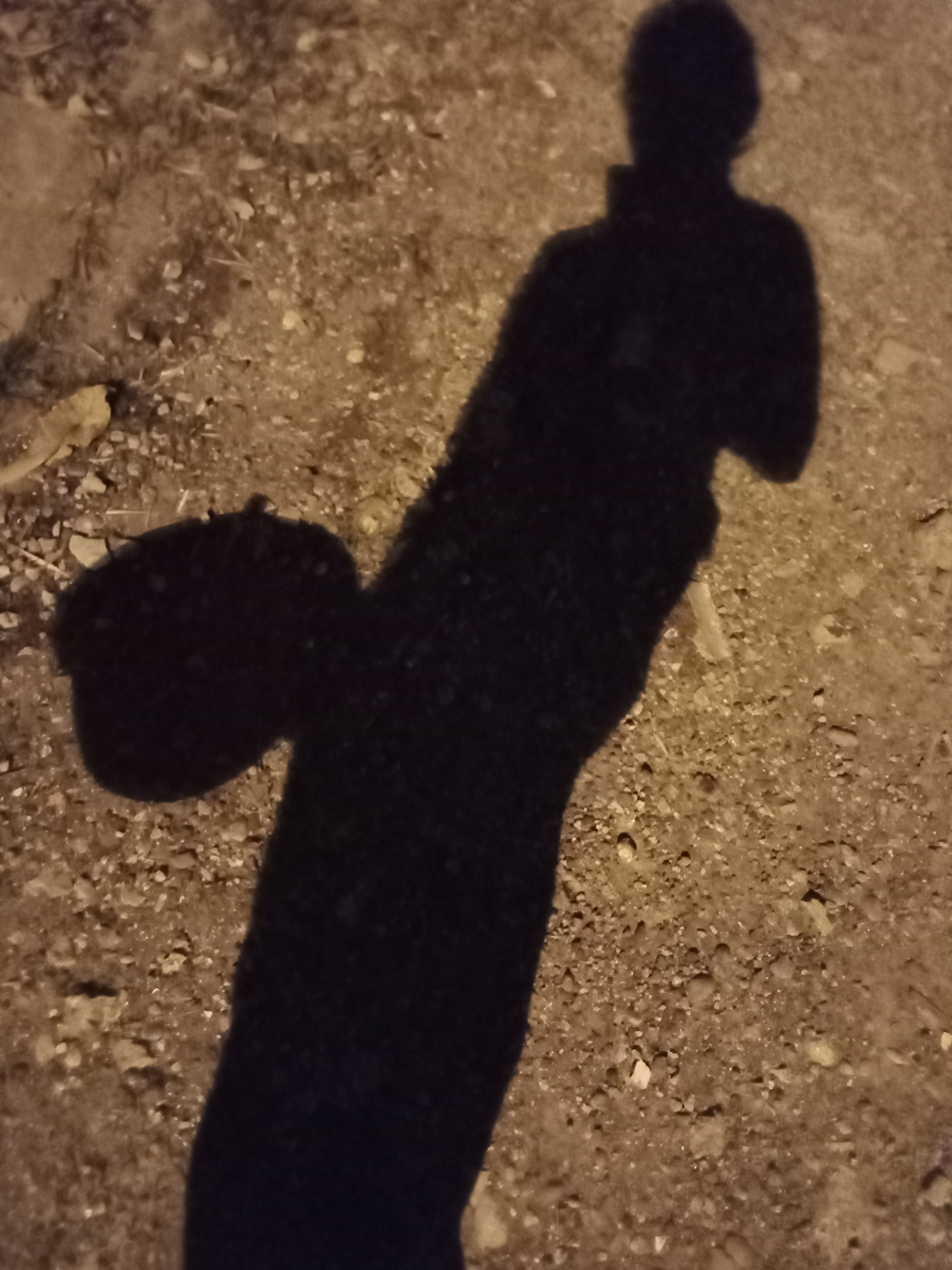 IMG20210502191956.jpg