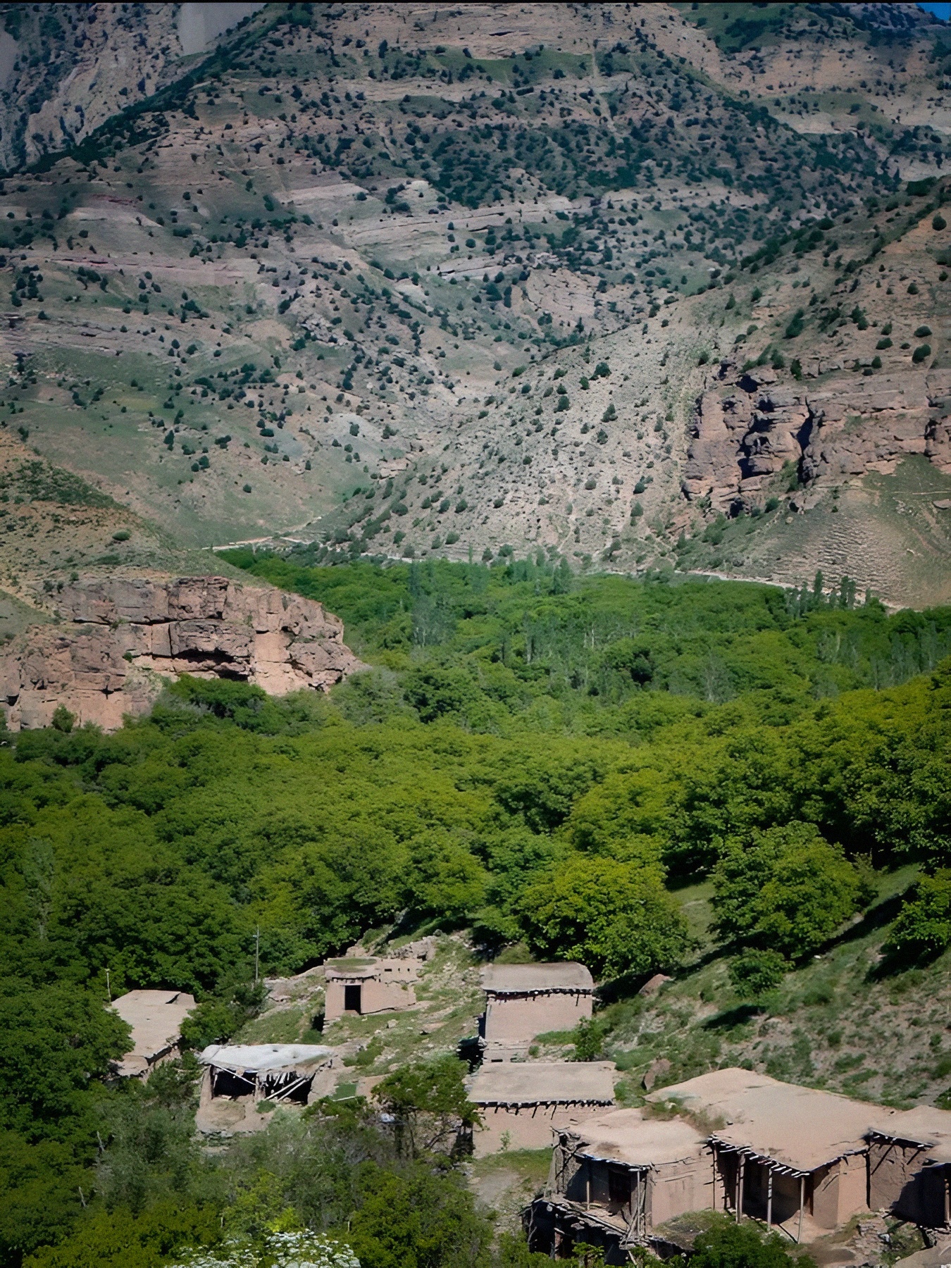 1754156829043_1g55h3_2_0.jpg