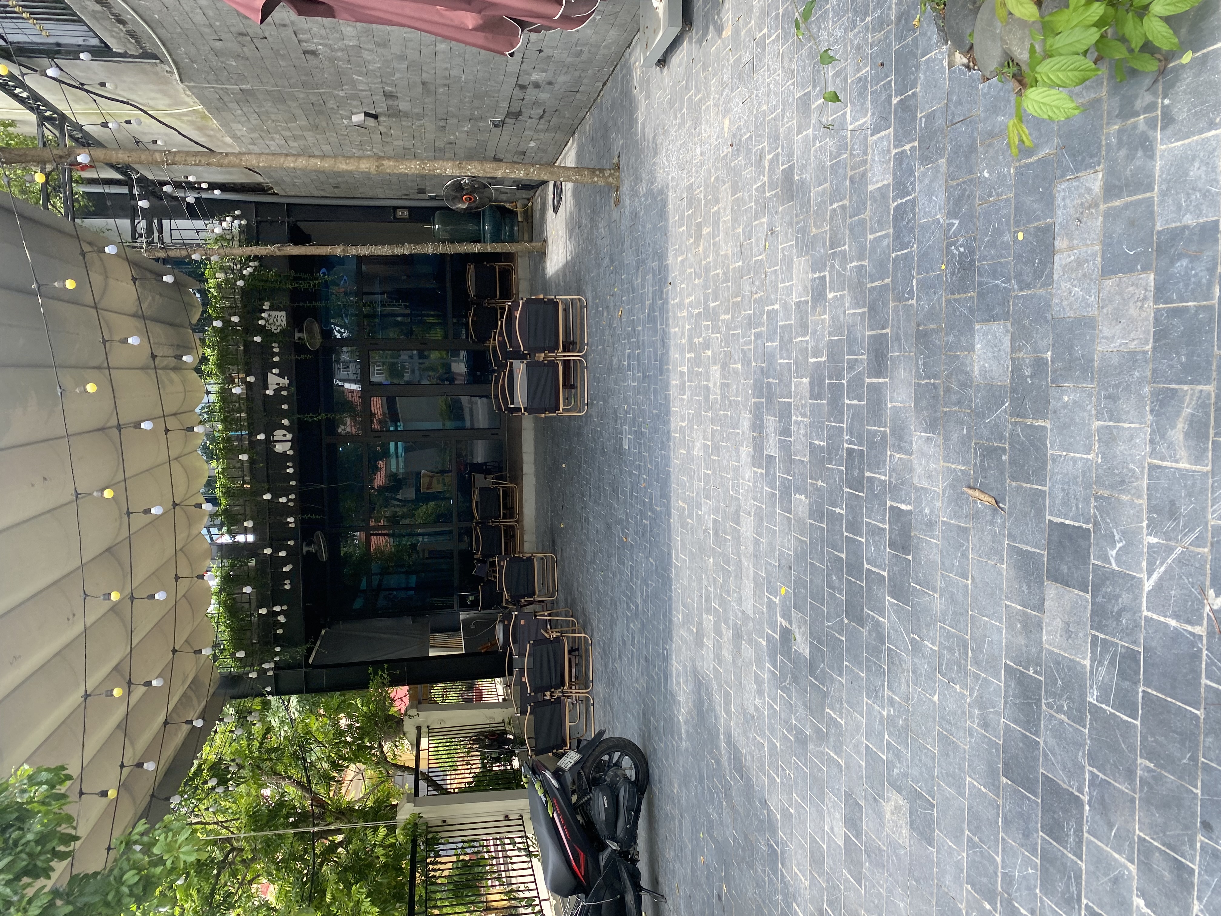 IMG_7895.jpeg