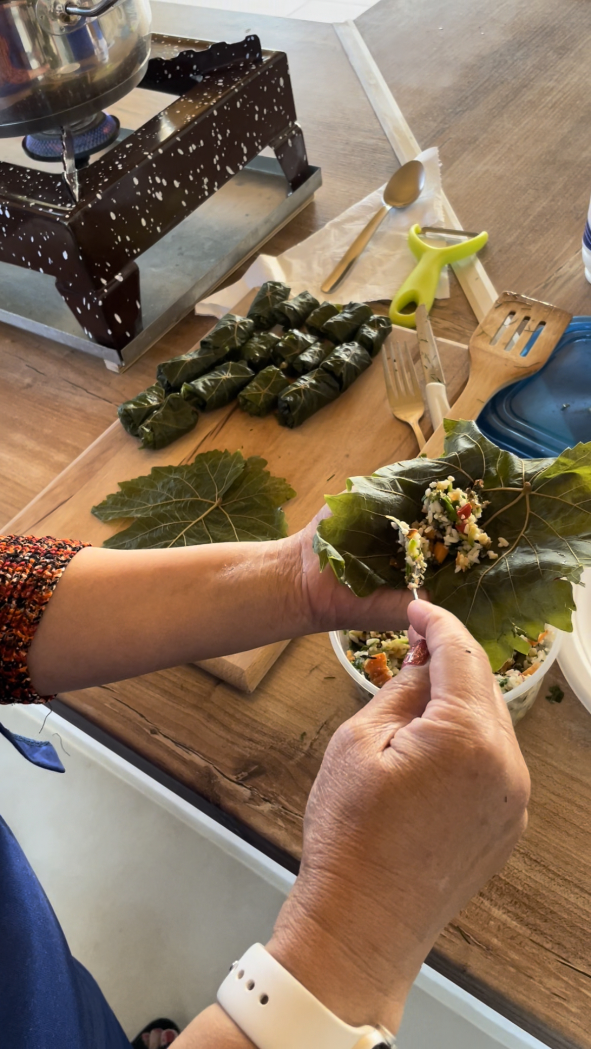 grape leaves.jpg