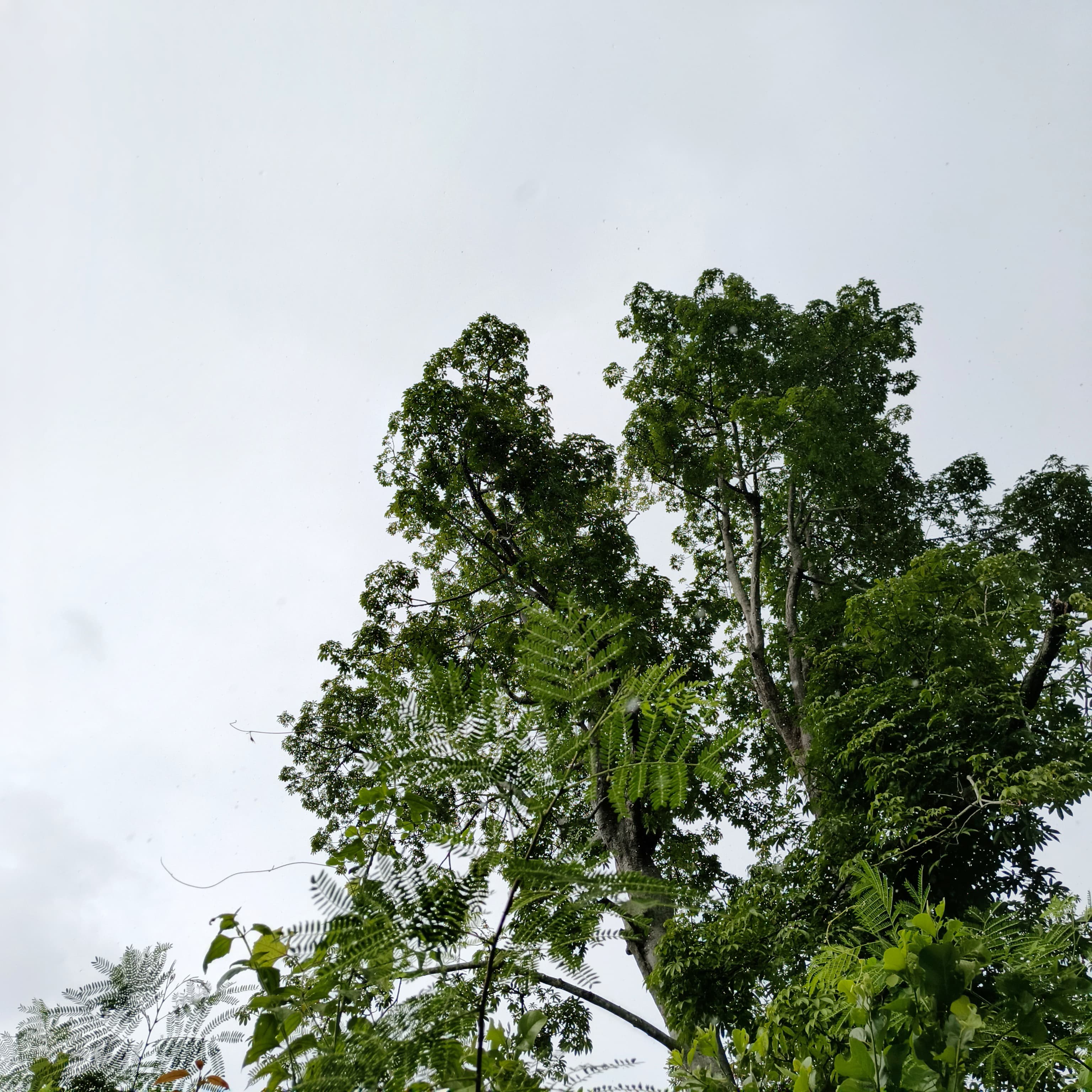 IMG-20250809-WA0020.jpg