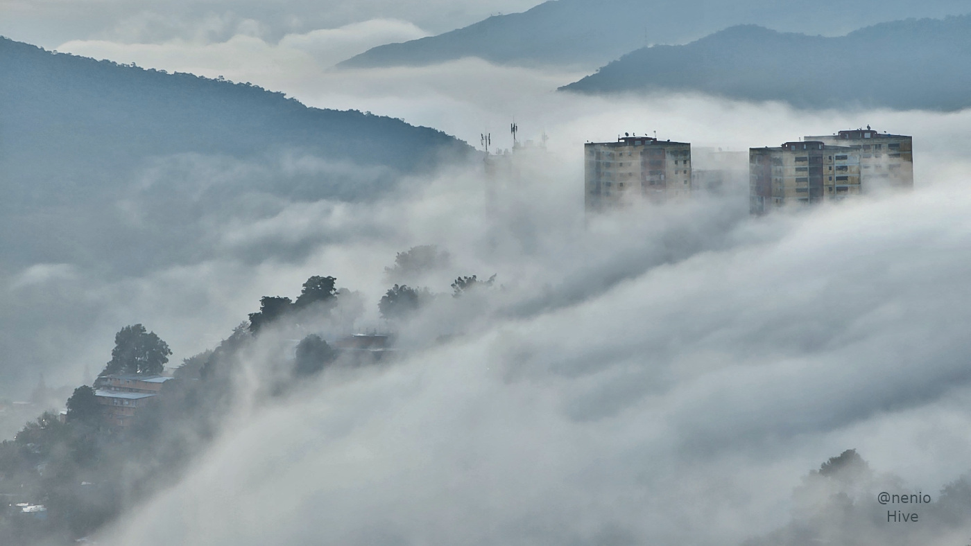 morning-fog-001.jpg