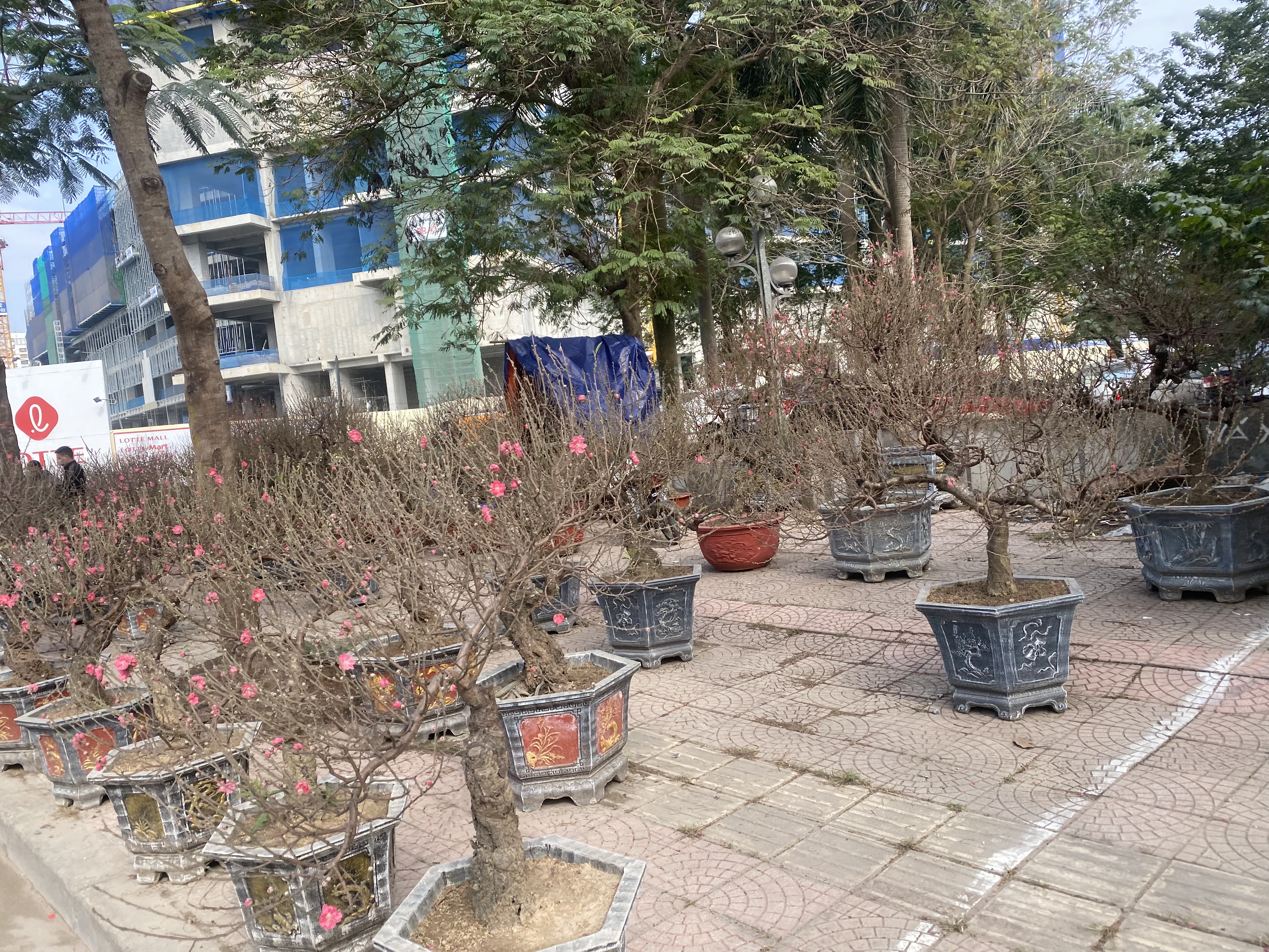 12718CD2-A98C-4D8D-A0A8-246474264059.jpeg