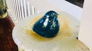 IMG_4429.jpeg