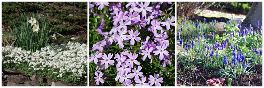 hivegarden-spring-flowers-3.jpg