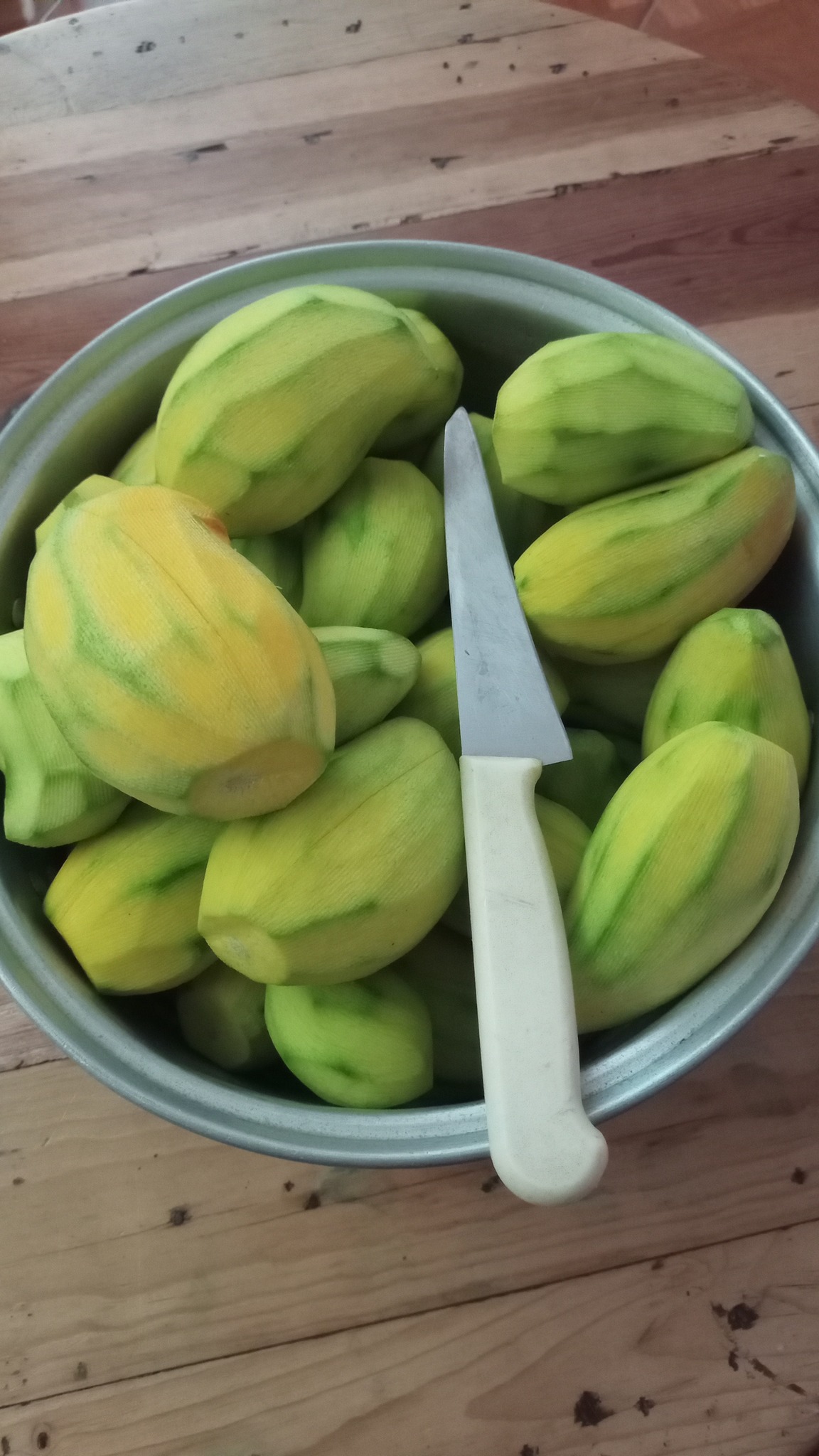 mangos.jpg