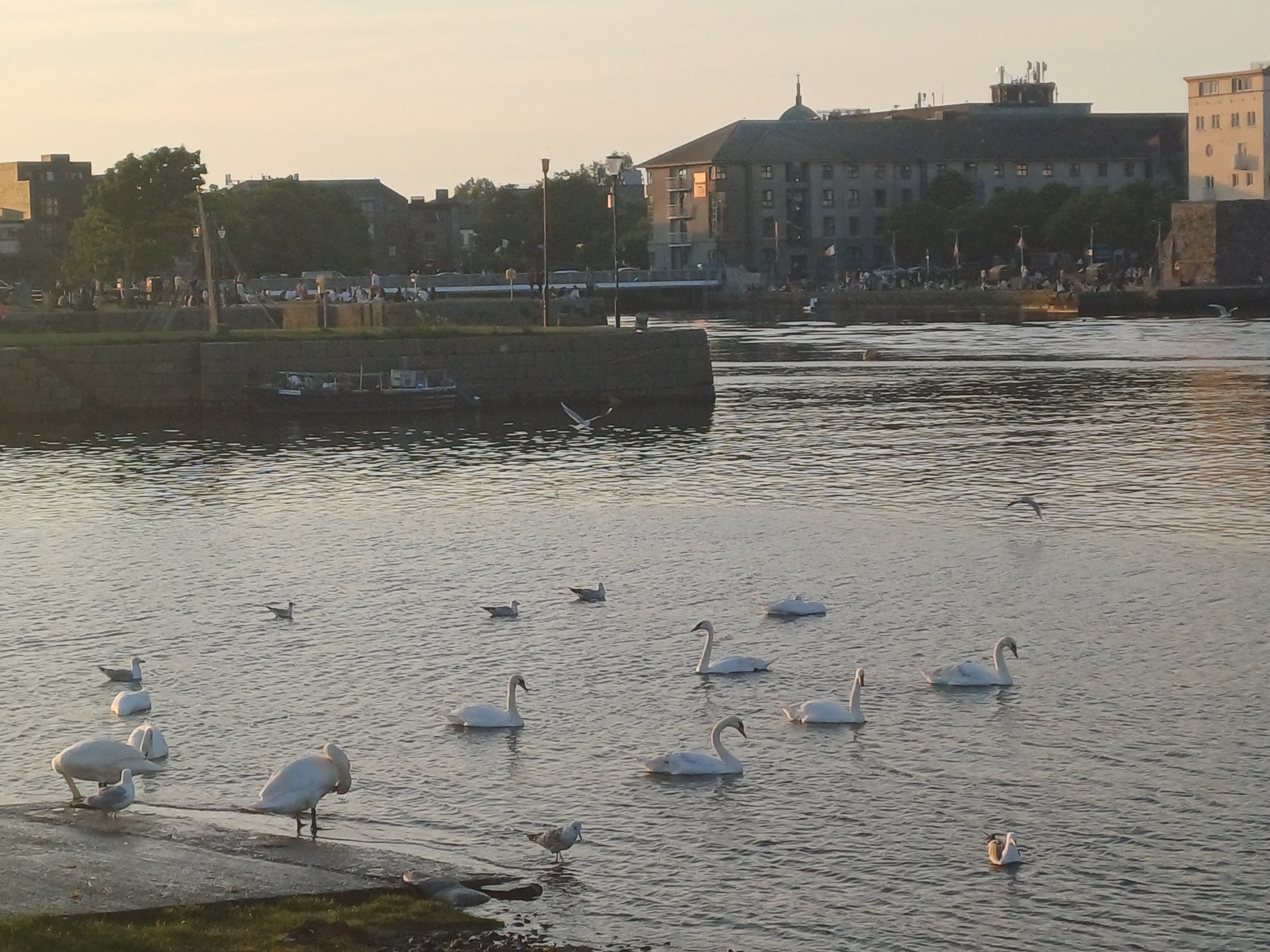 20250514_203730.jpg