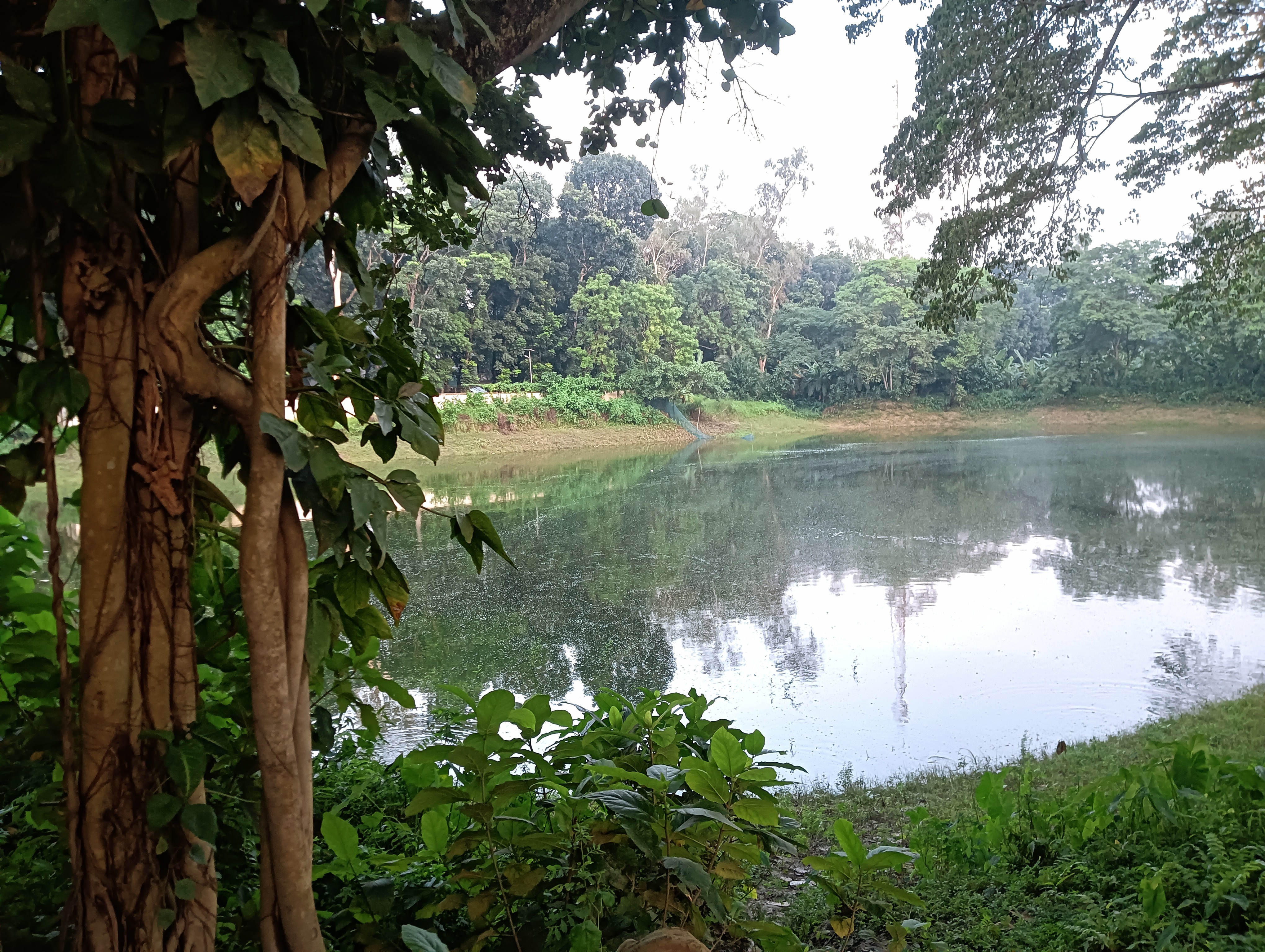 IMG20250717183316.jpg
