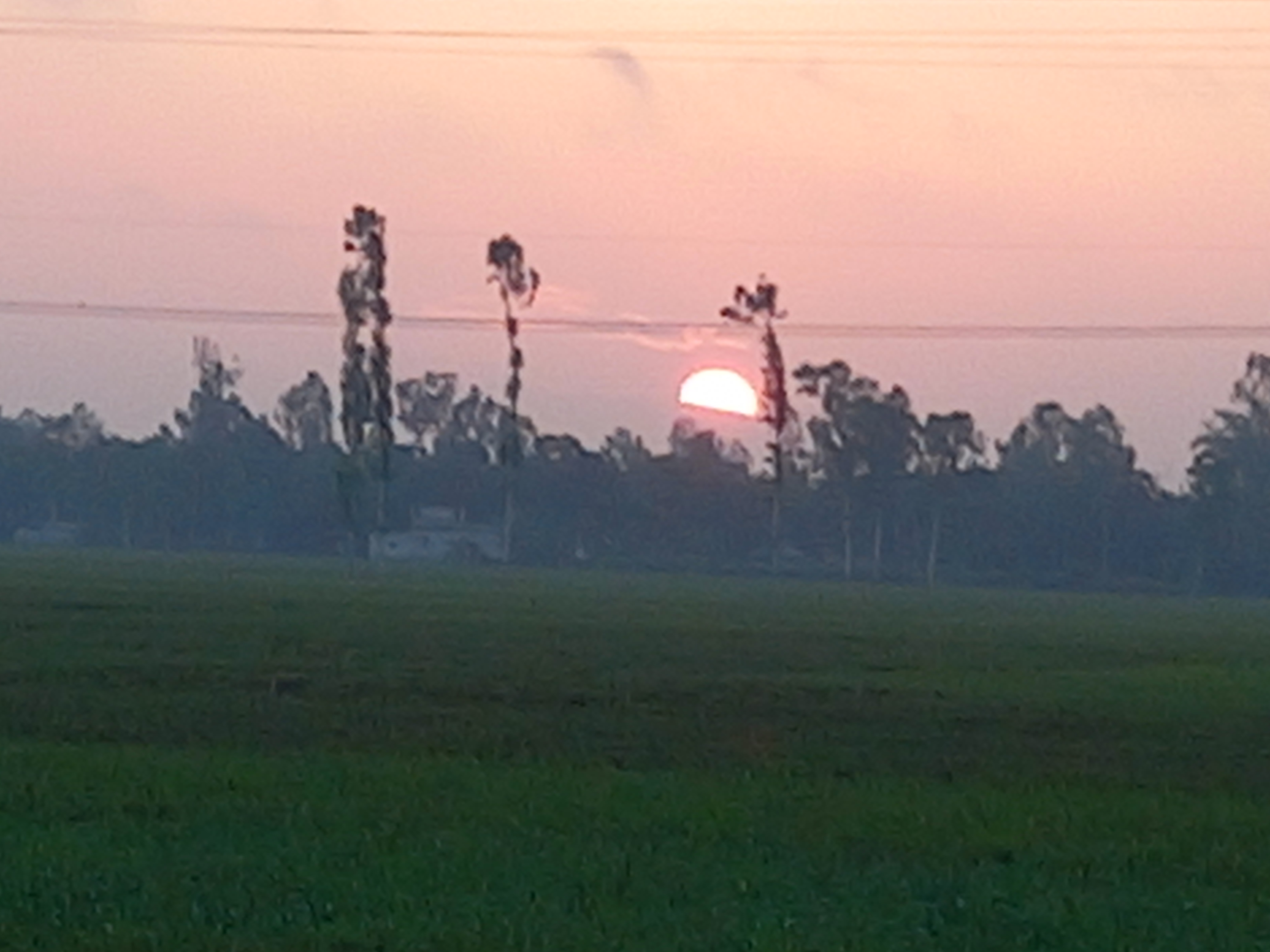 20250627_052323.jpg