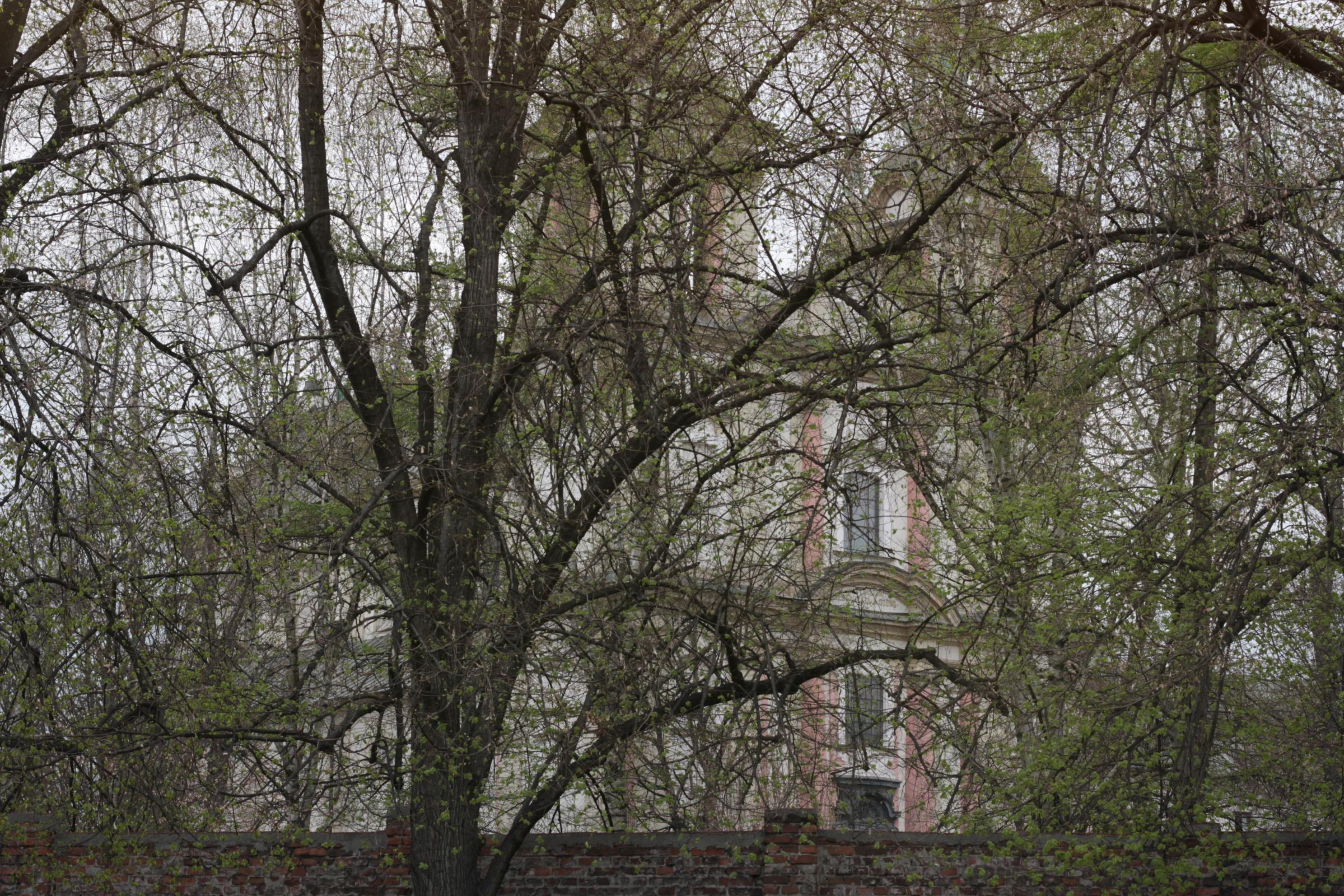 IMG_6297-crop.JPG