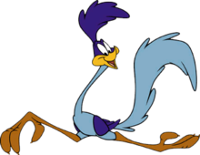 Roadrunner_looney_tunes.png