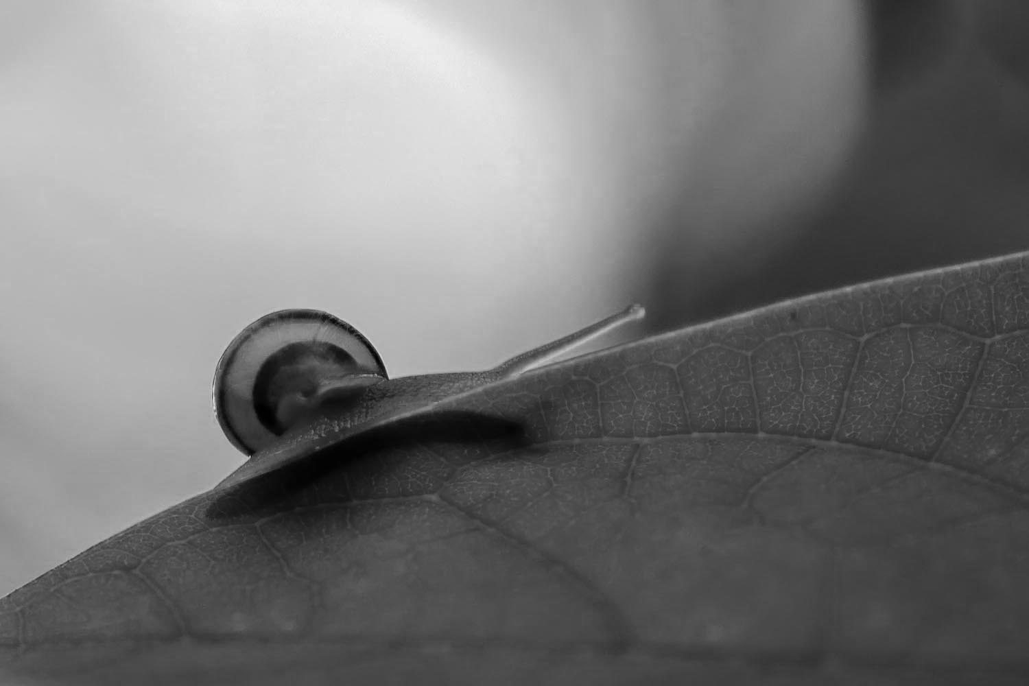 IMG_1285+.jpg