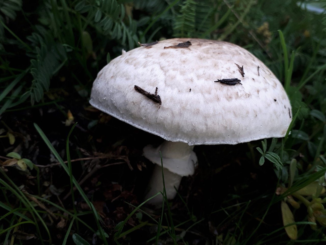 20221001_174804.jpg
