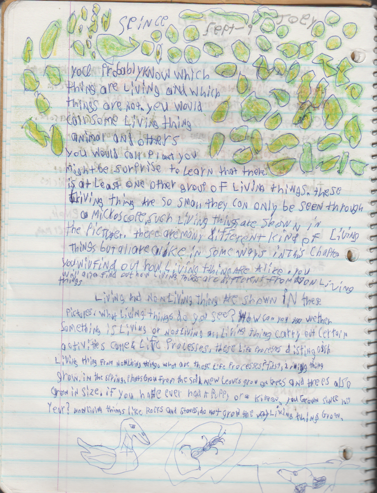 1996-08-18 - Saturday - 11 yr old Joey Arnold's School Book, dates through to 1998 apx, mostly 96, Writings, Drawings, Etc-015 ok.png