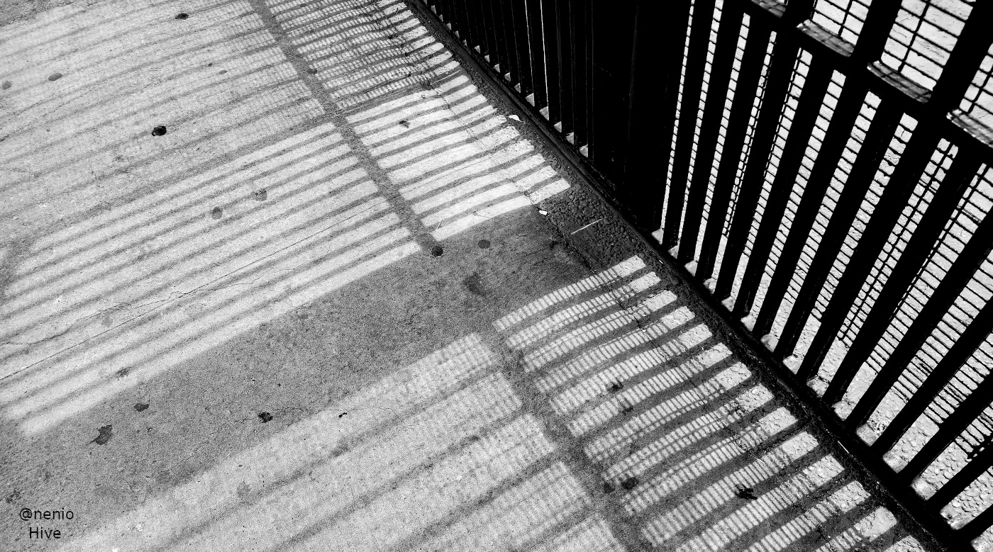 shadows-fence-015-bw.jpg