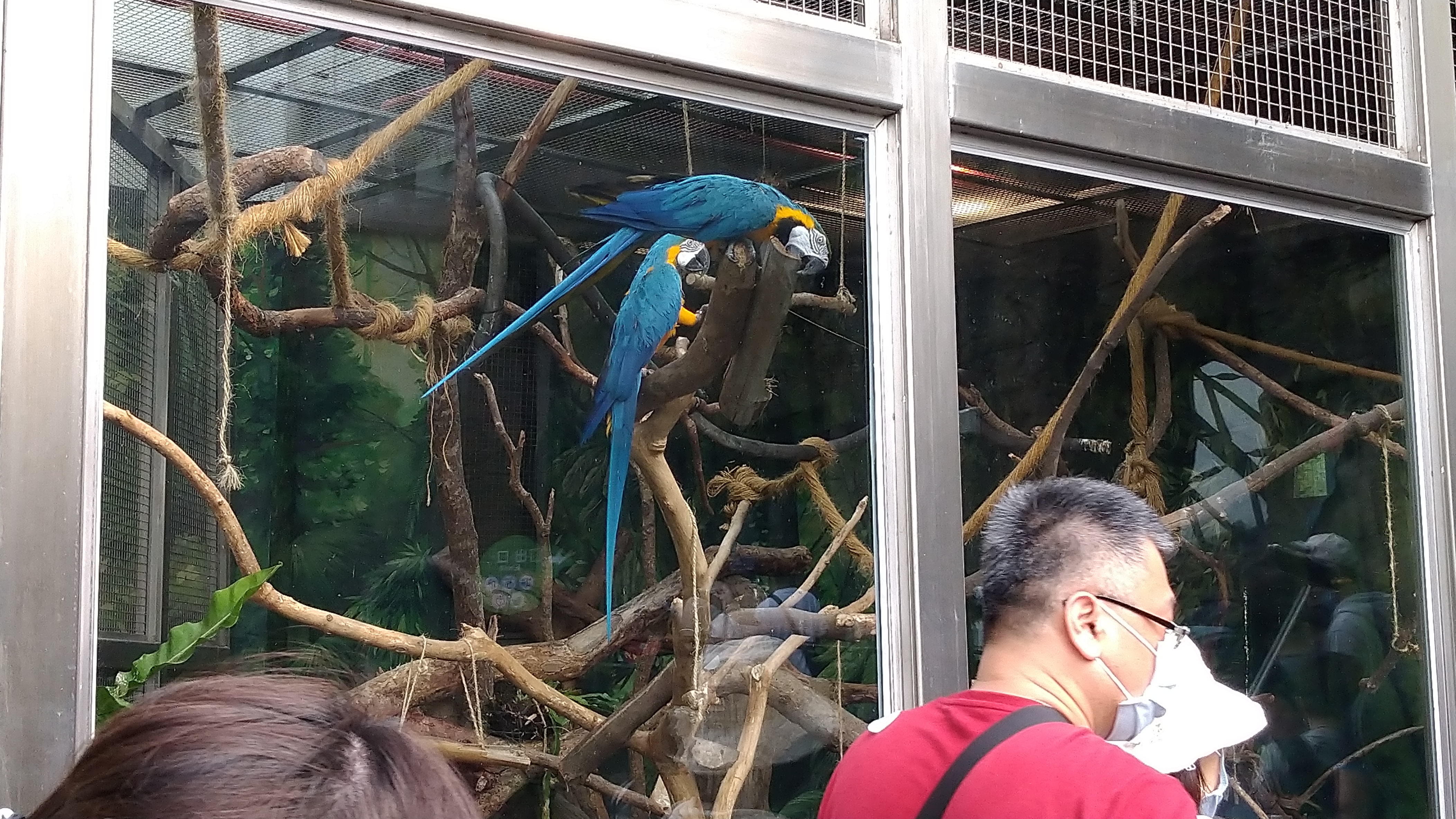DSC_7656.JPG