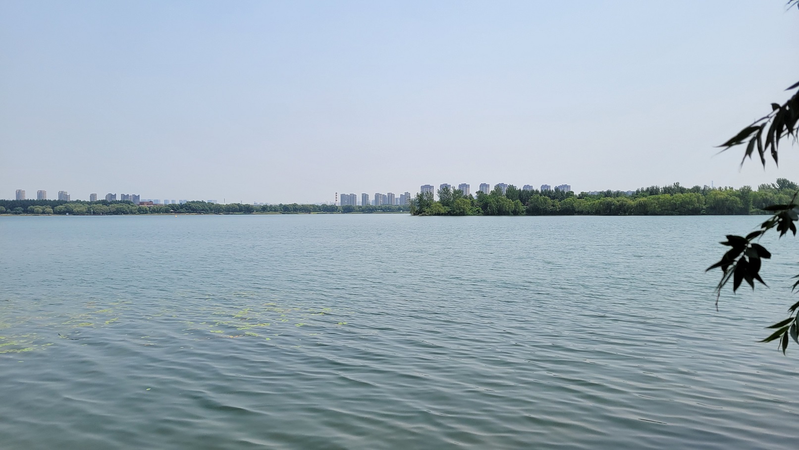 20230718_121359.jpg