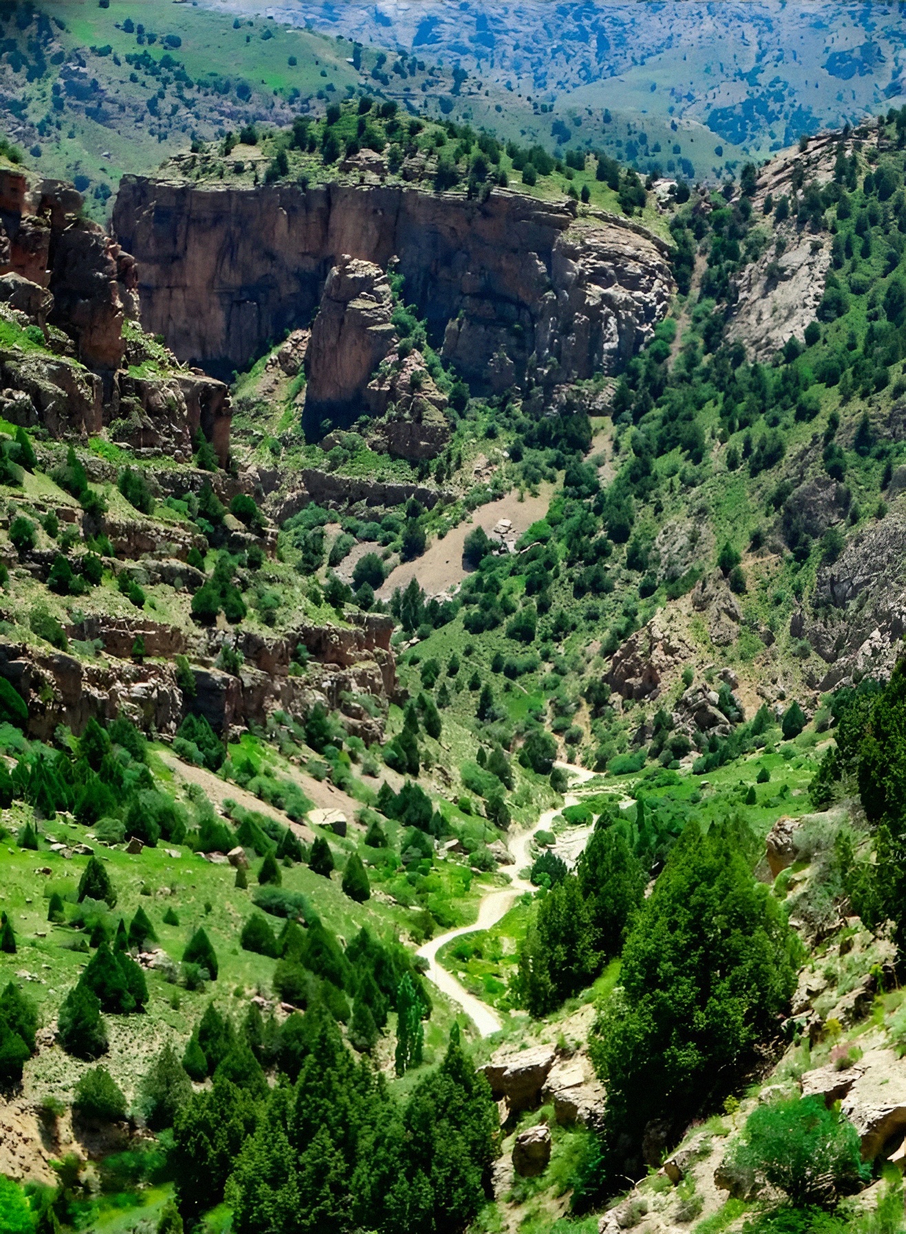 1754156934110_tdrraq_2_0.jpg