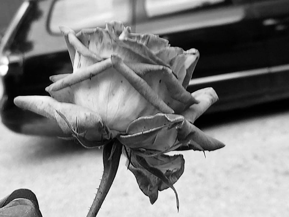 20210508_212644.jpg